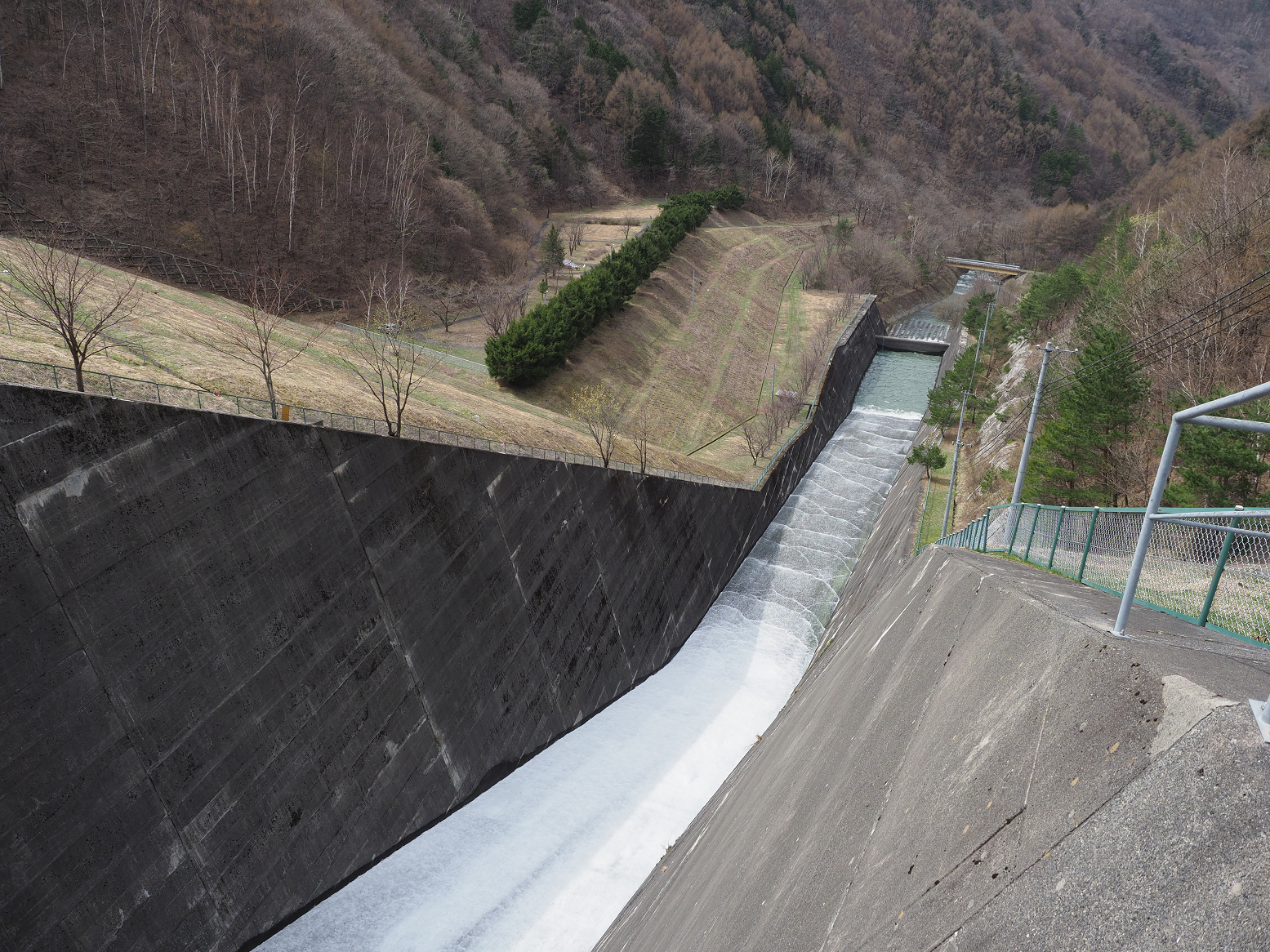 P4220351.jpg
