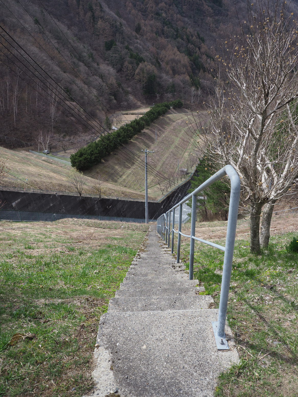 P4220353.jpg
