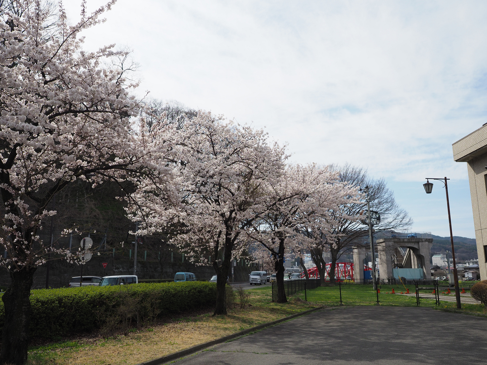 P4220354.jpg