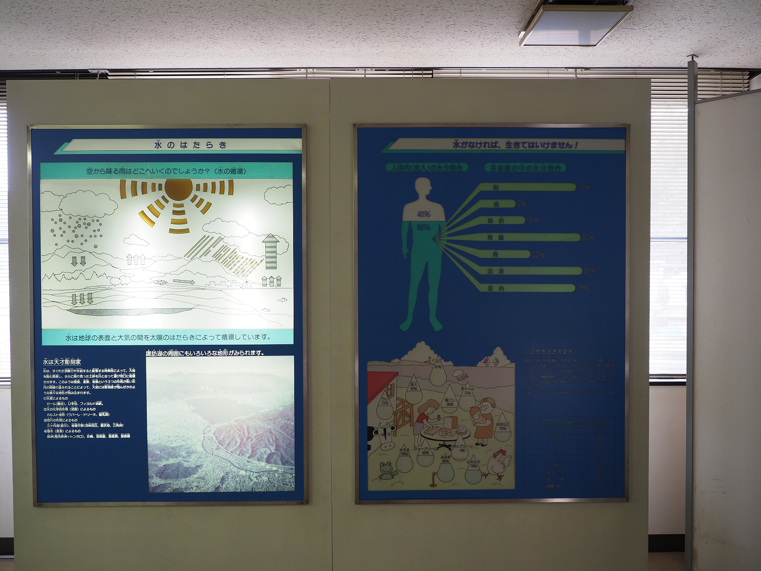 P4220356.jpg