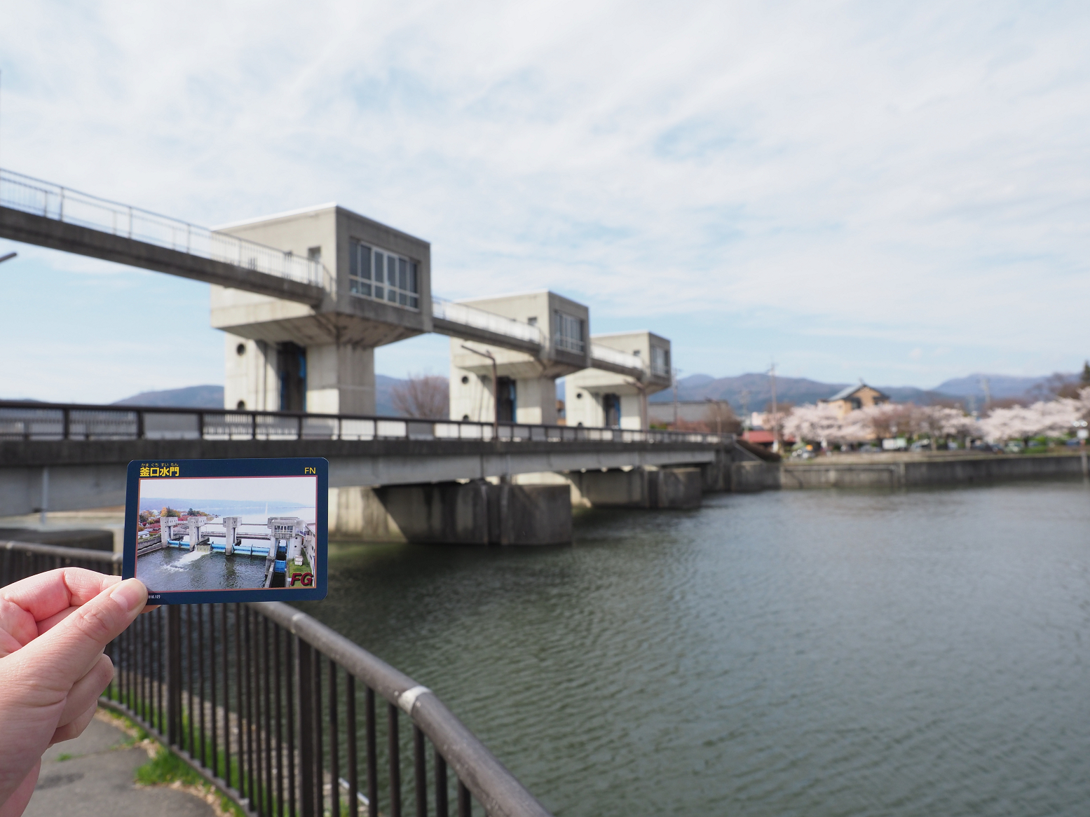 P4220372.jpg