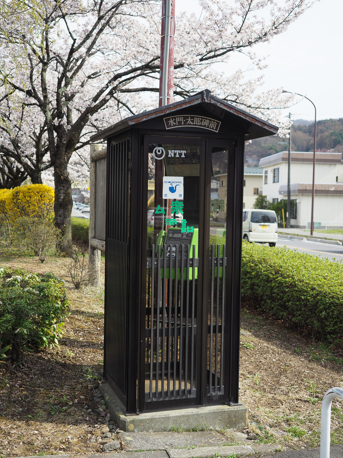 P4220377.jpg