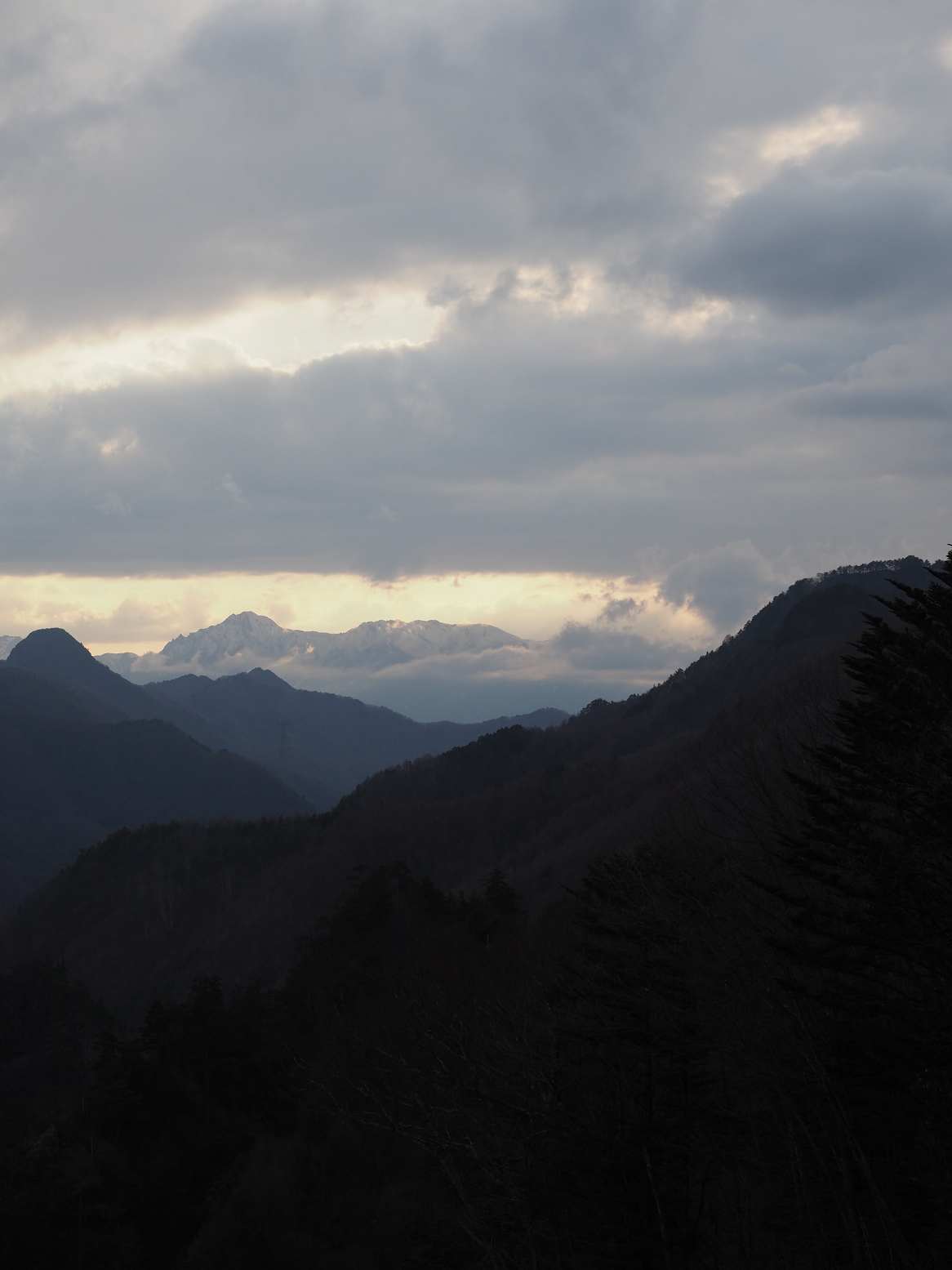 P4220425.jpg