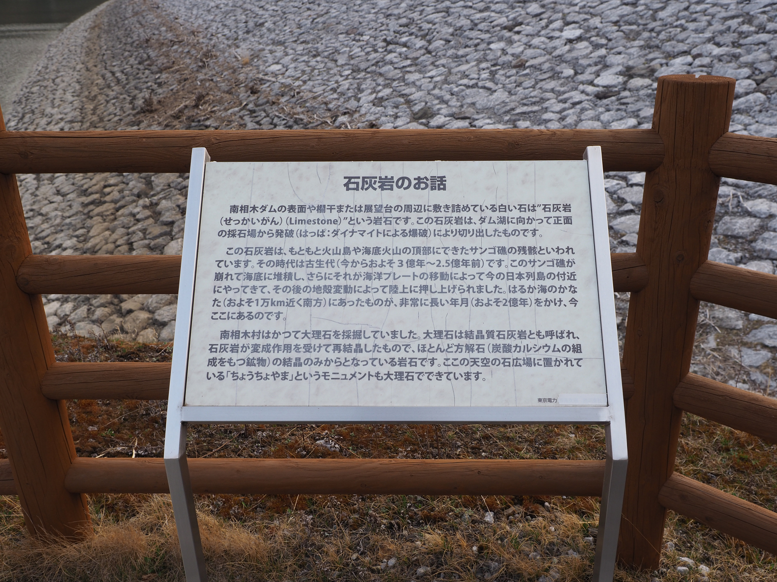 P4220429.jpg