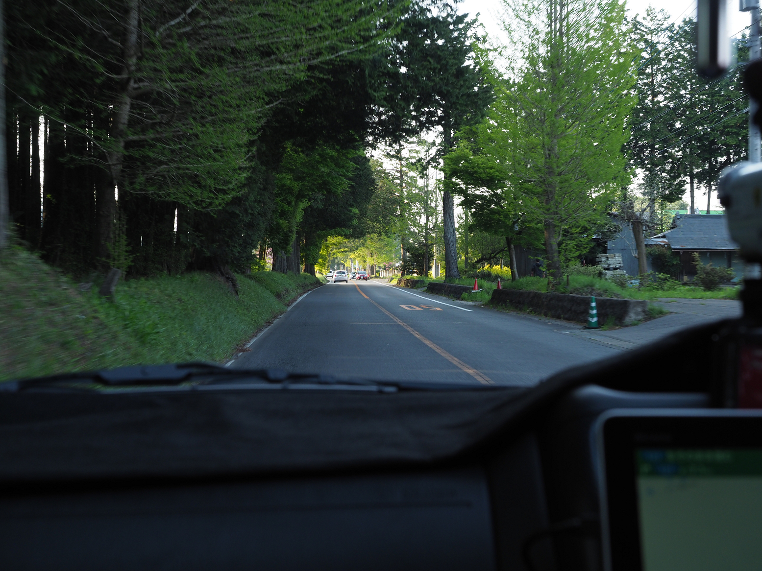 P4300015.jpg