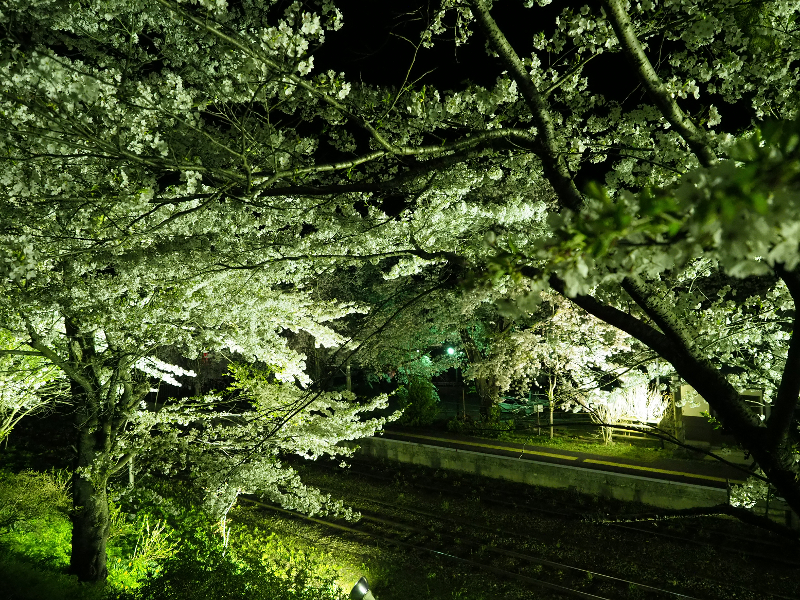 P4300033.jpg