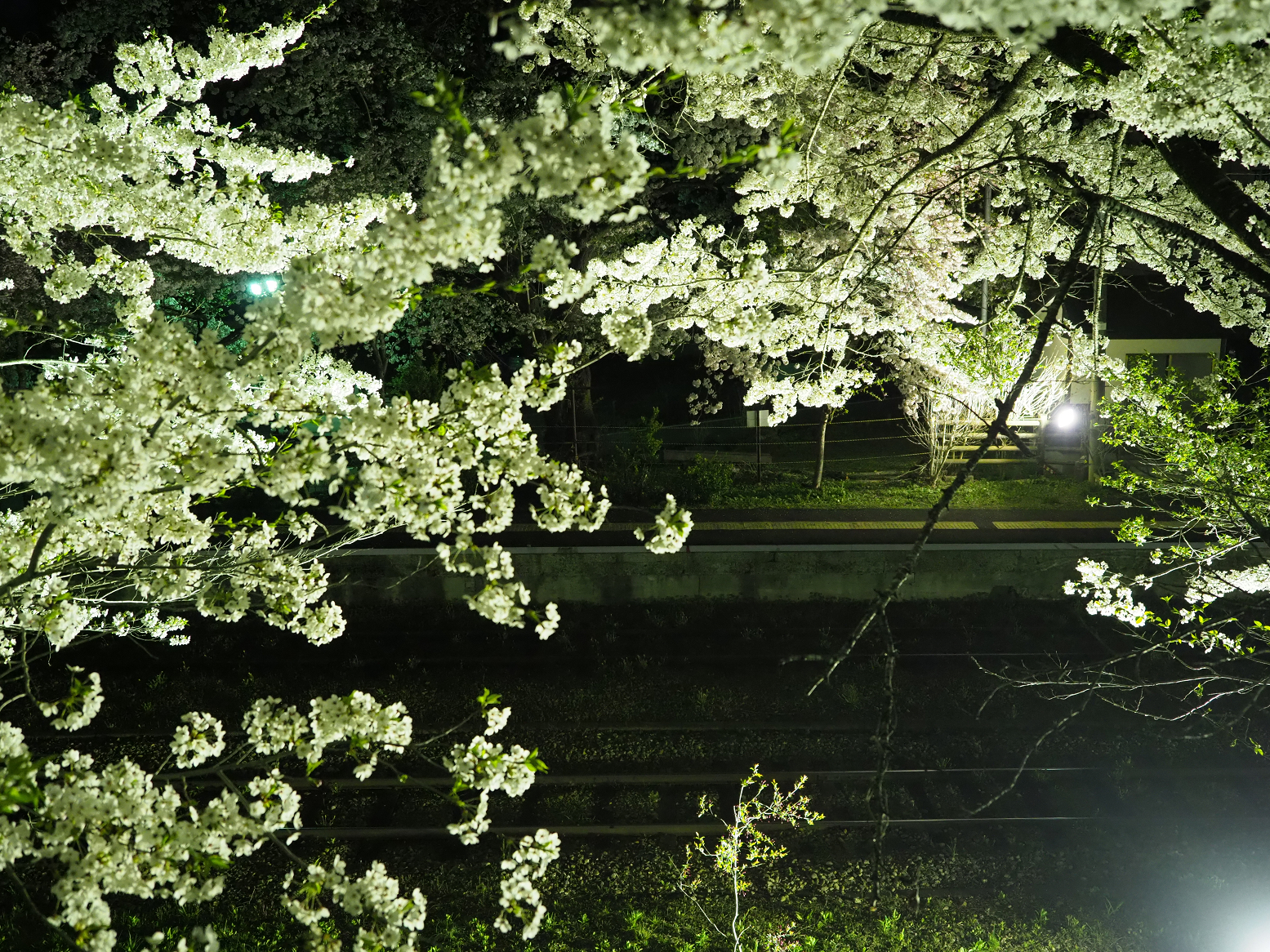 P4300036.jpg