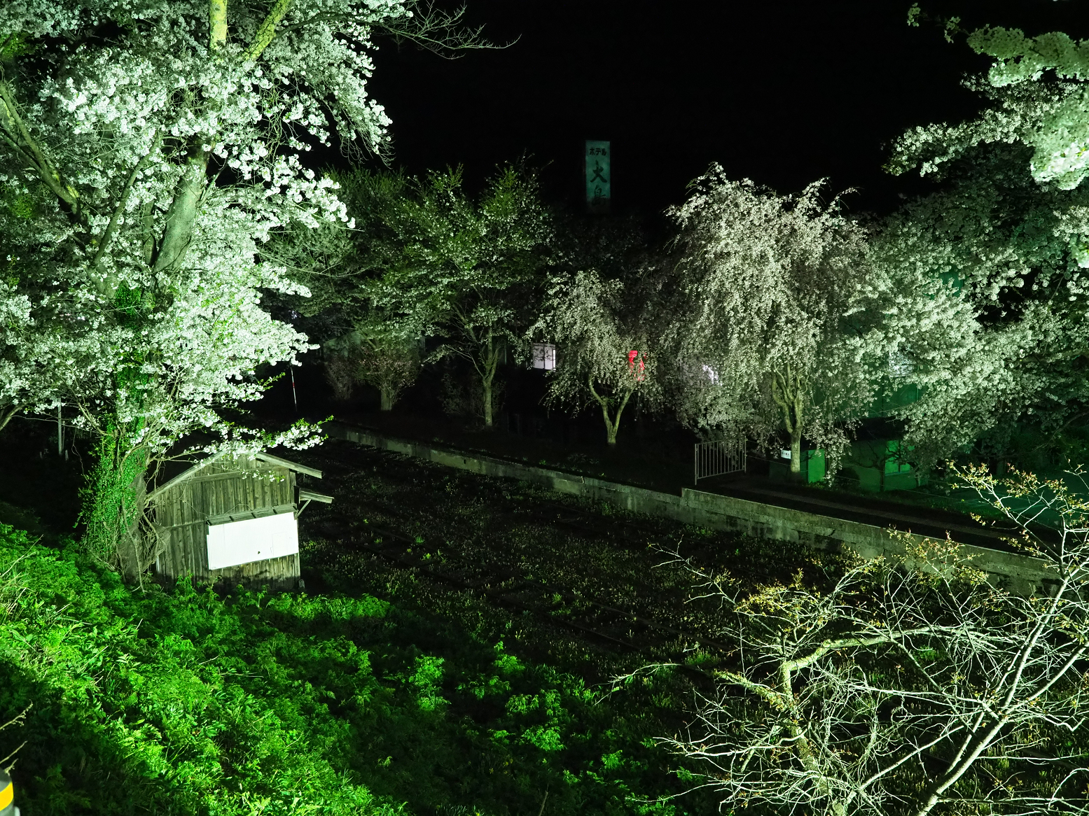 P4300038.jpg