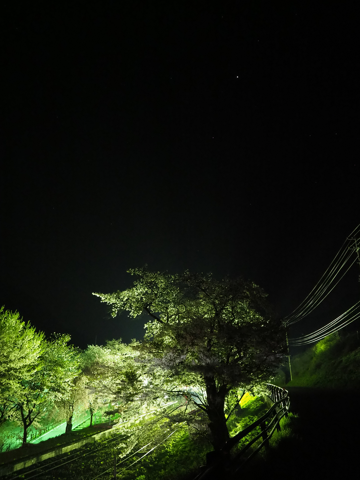 P4300040.jpg