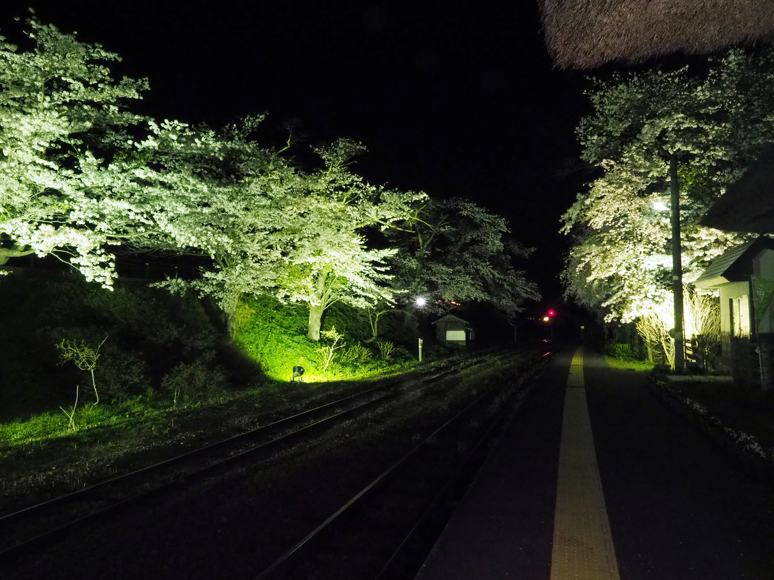 P4300046.jpg