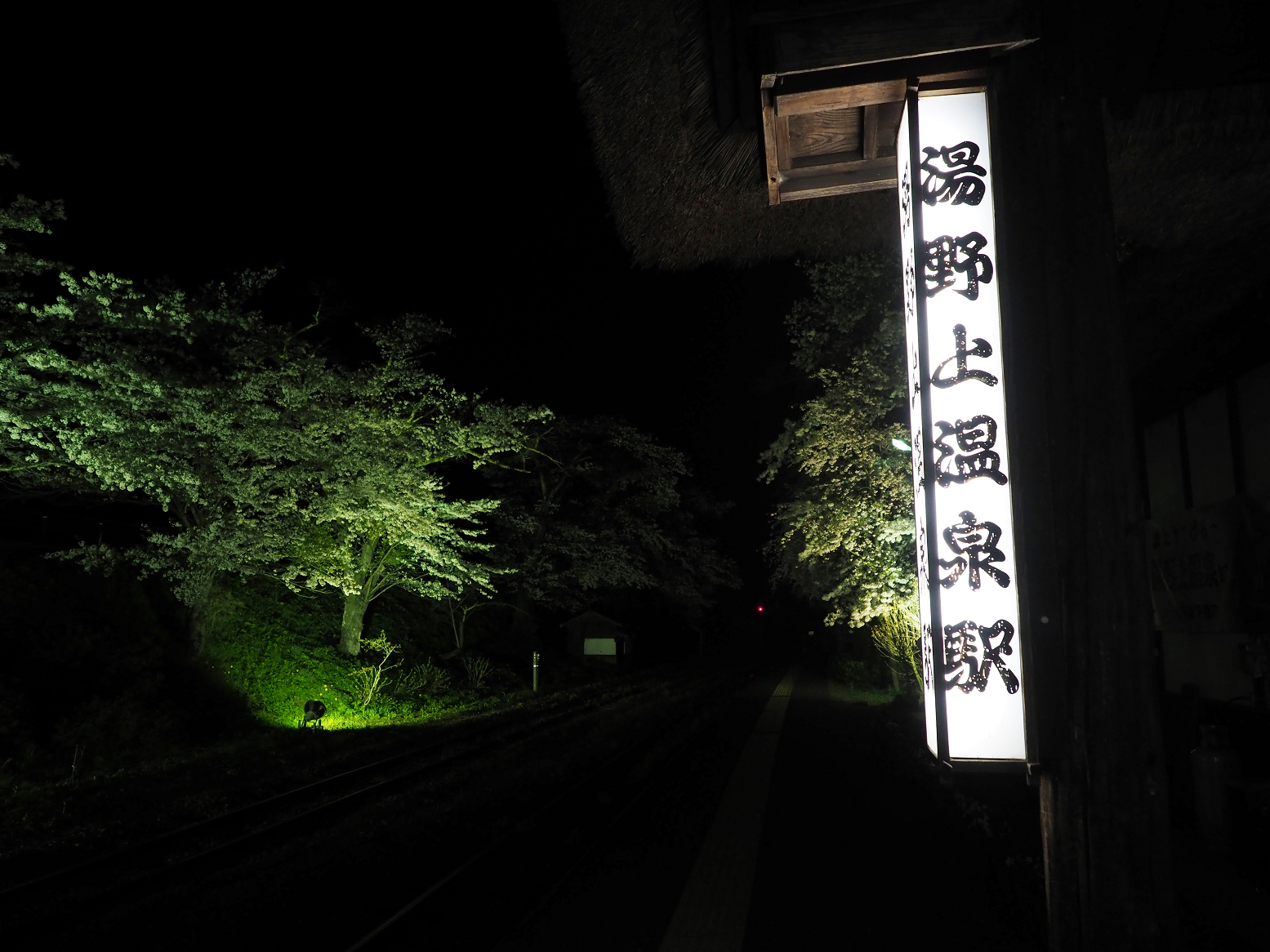 P4300048.jpg