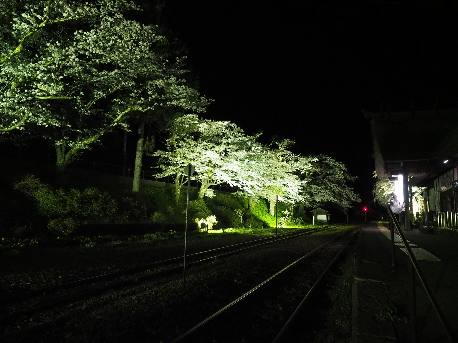 P4300056.jpg