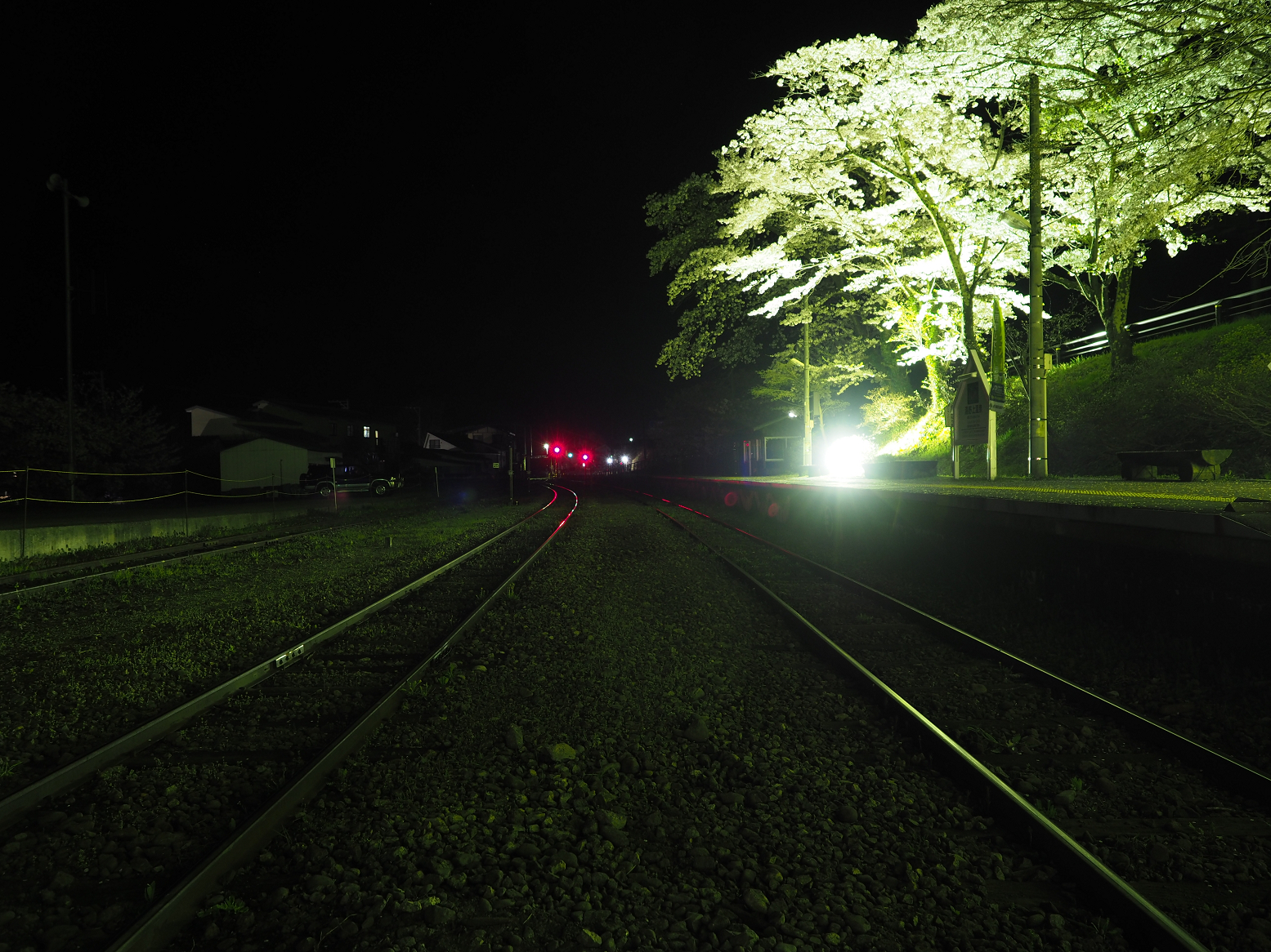 P4300057.jpg