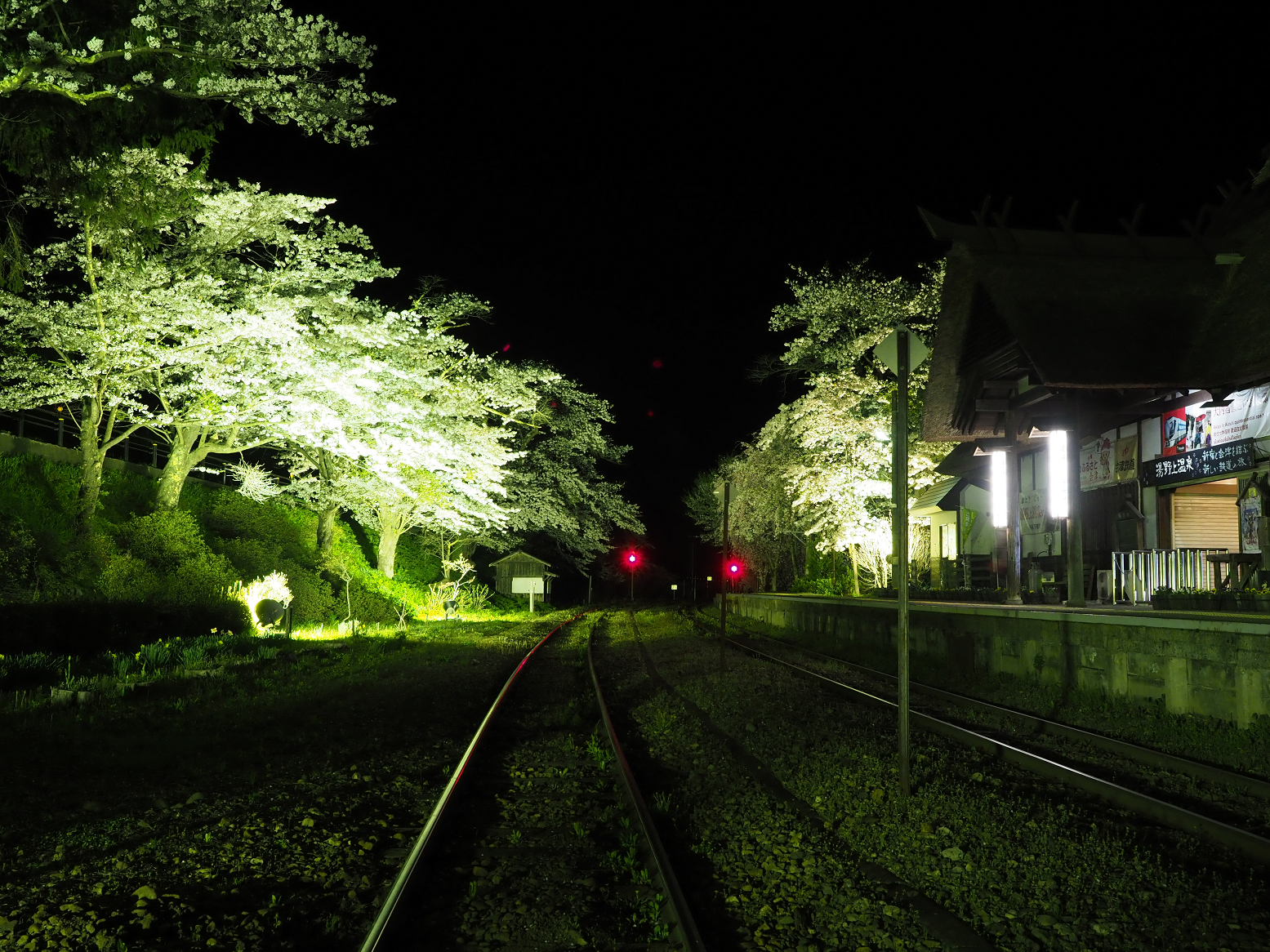 P4300060.jpg