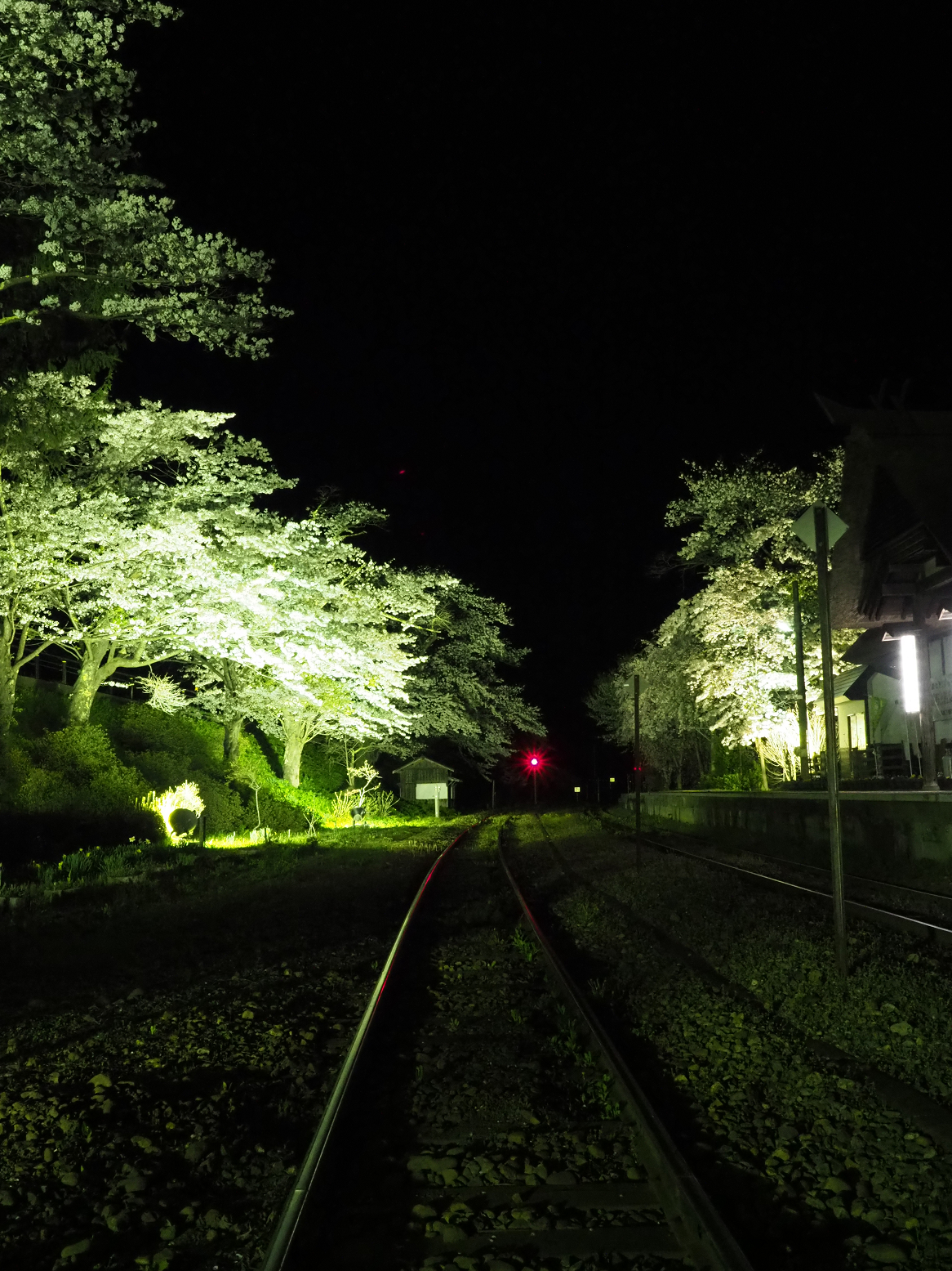 P4300065.jpg