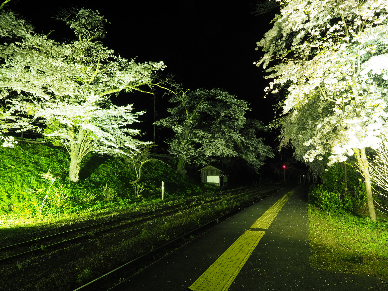 P4300078.jpg