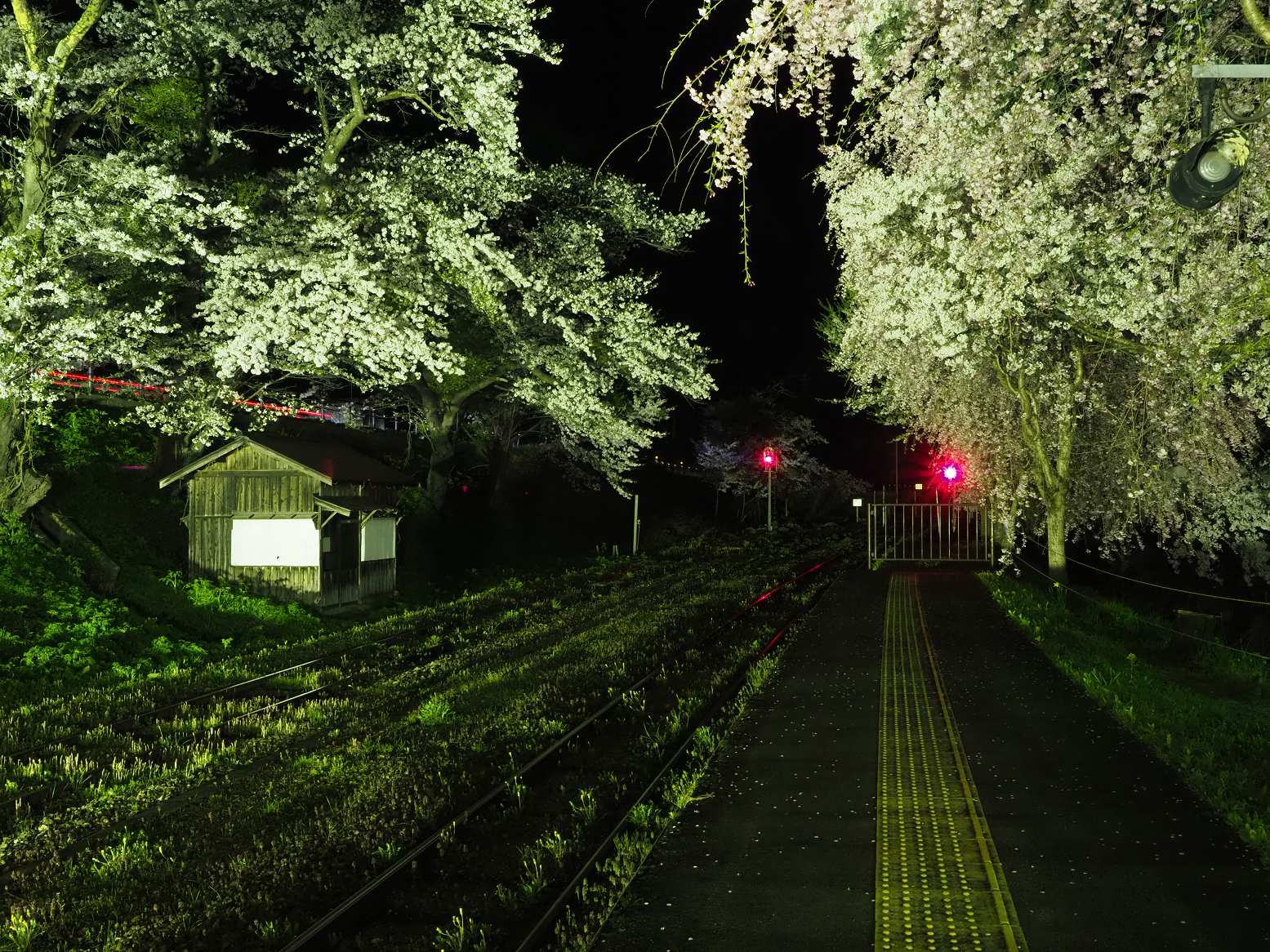 P4300082.jpg