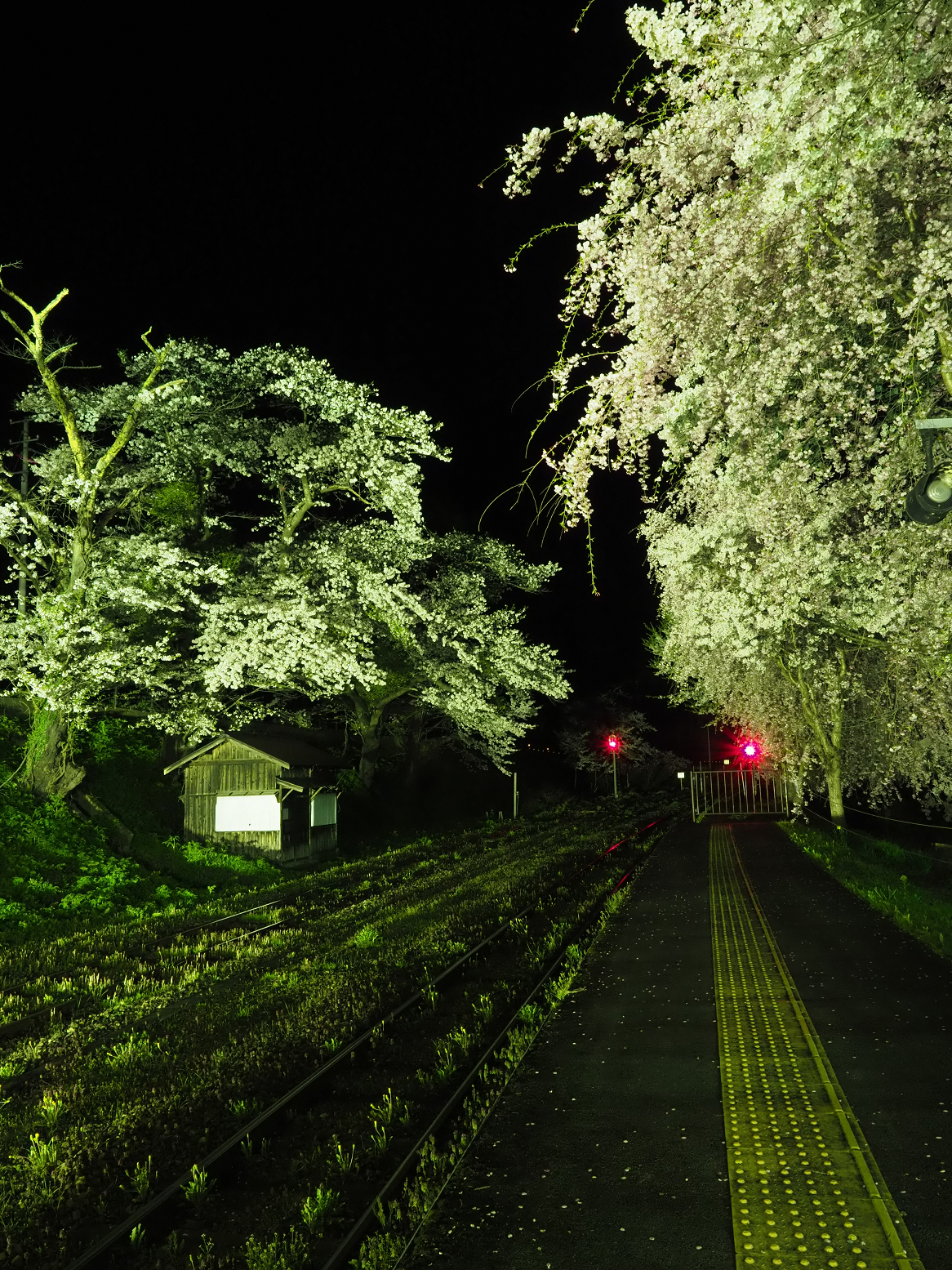 P4300084.jpg