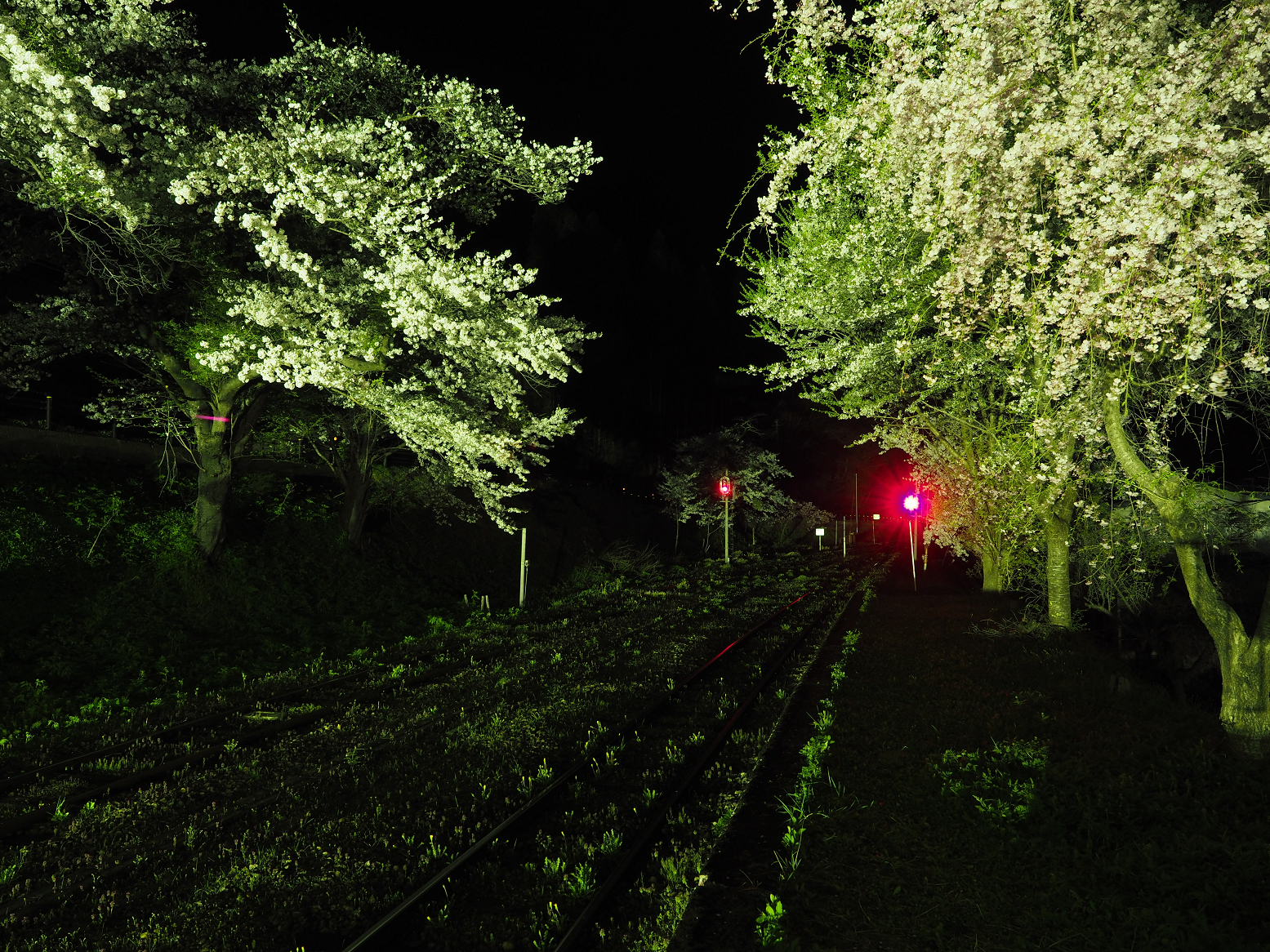 P4300087.jpg