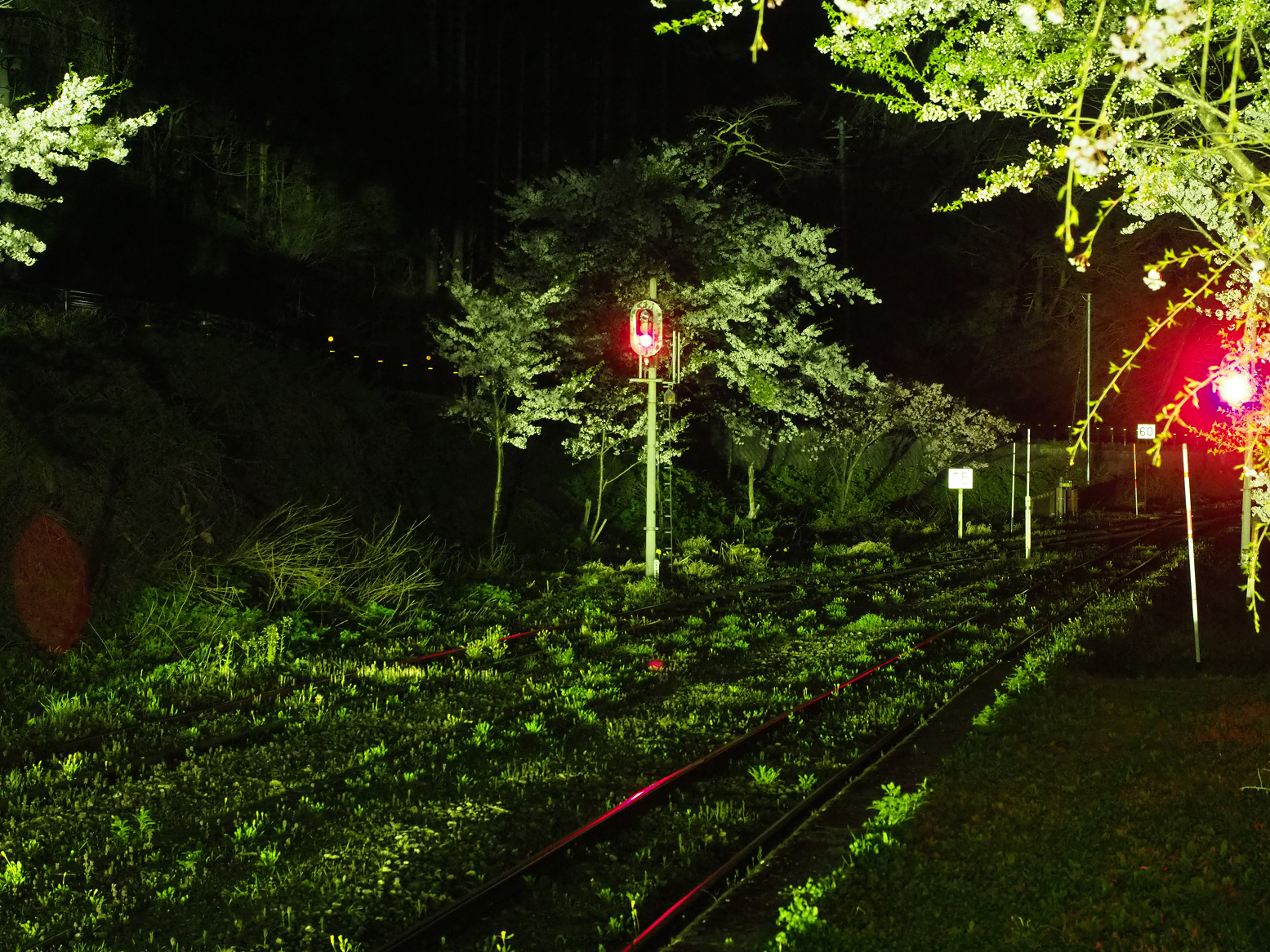 P4300091.jpg