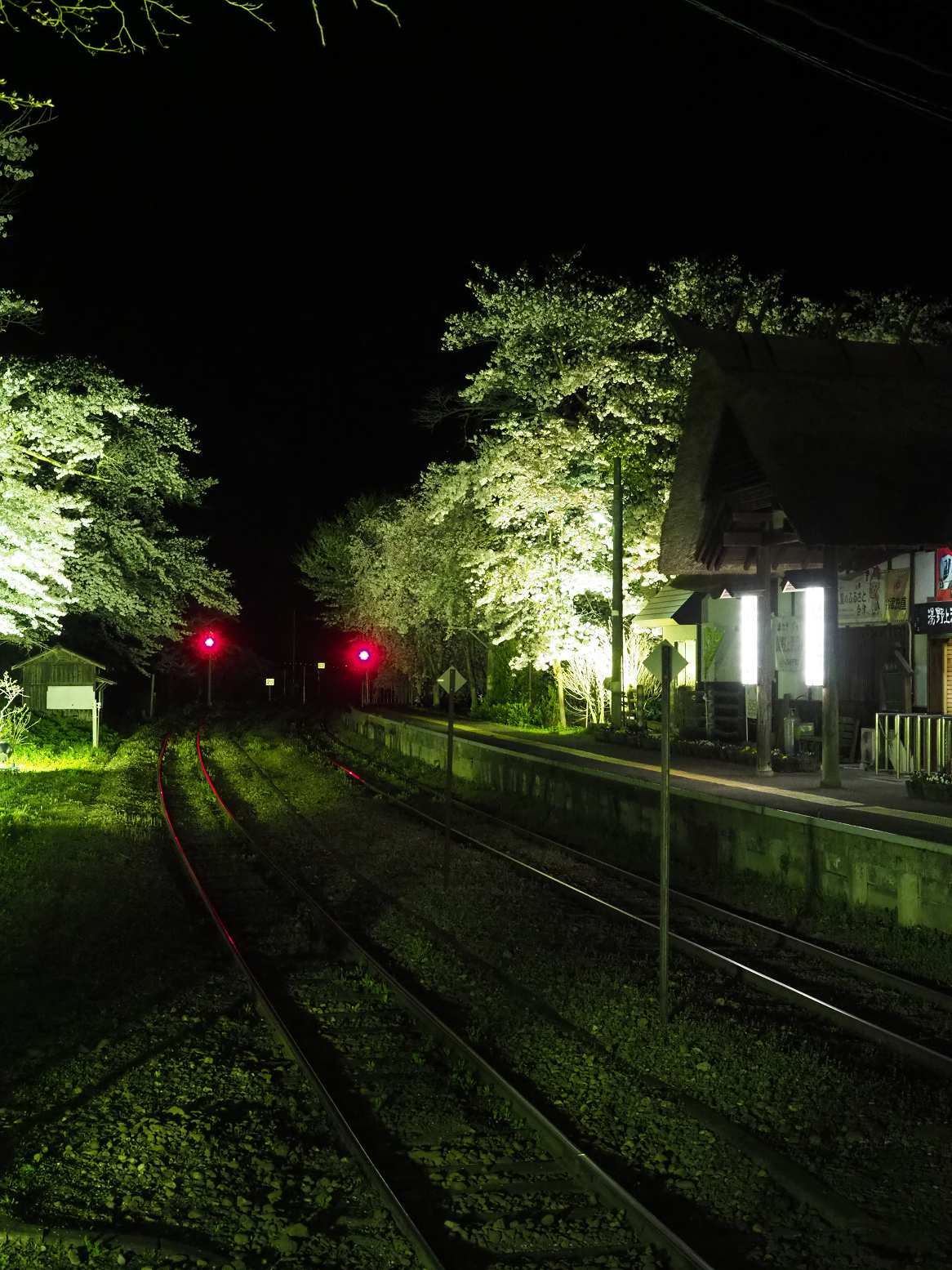 P4300115.jpg