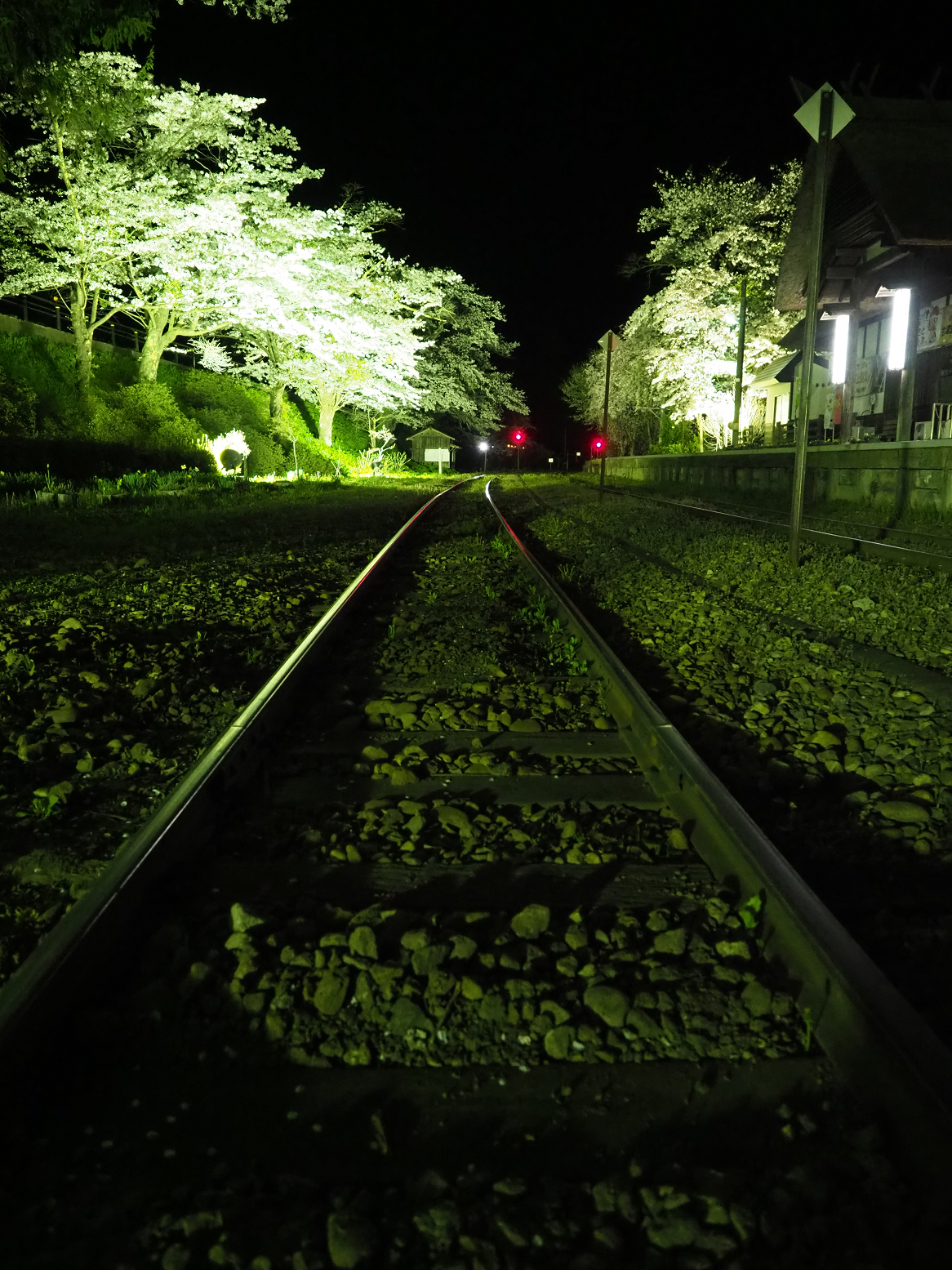 P4300119.jpg