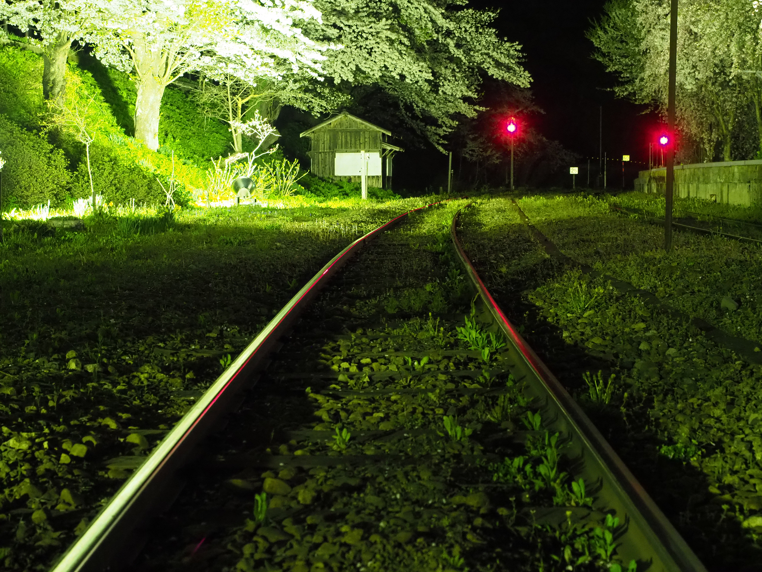 P4300123.jpg