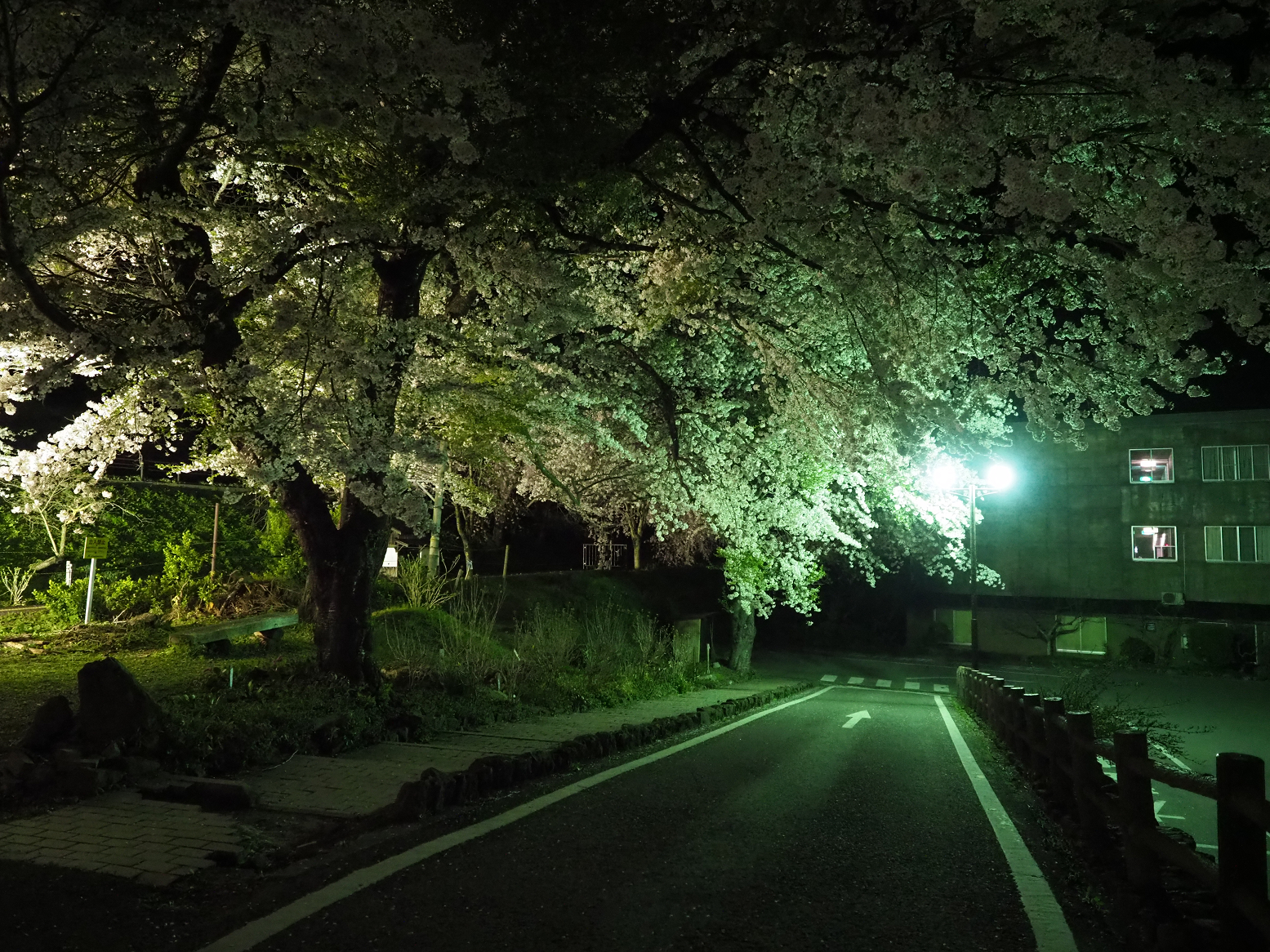 P4300165.jpg