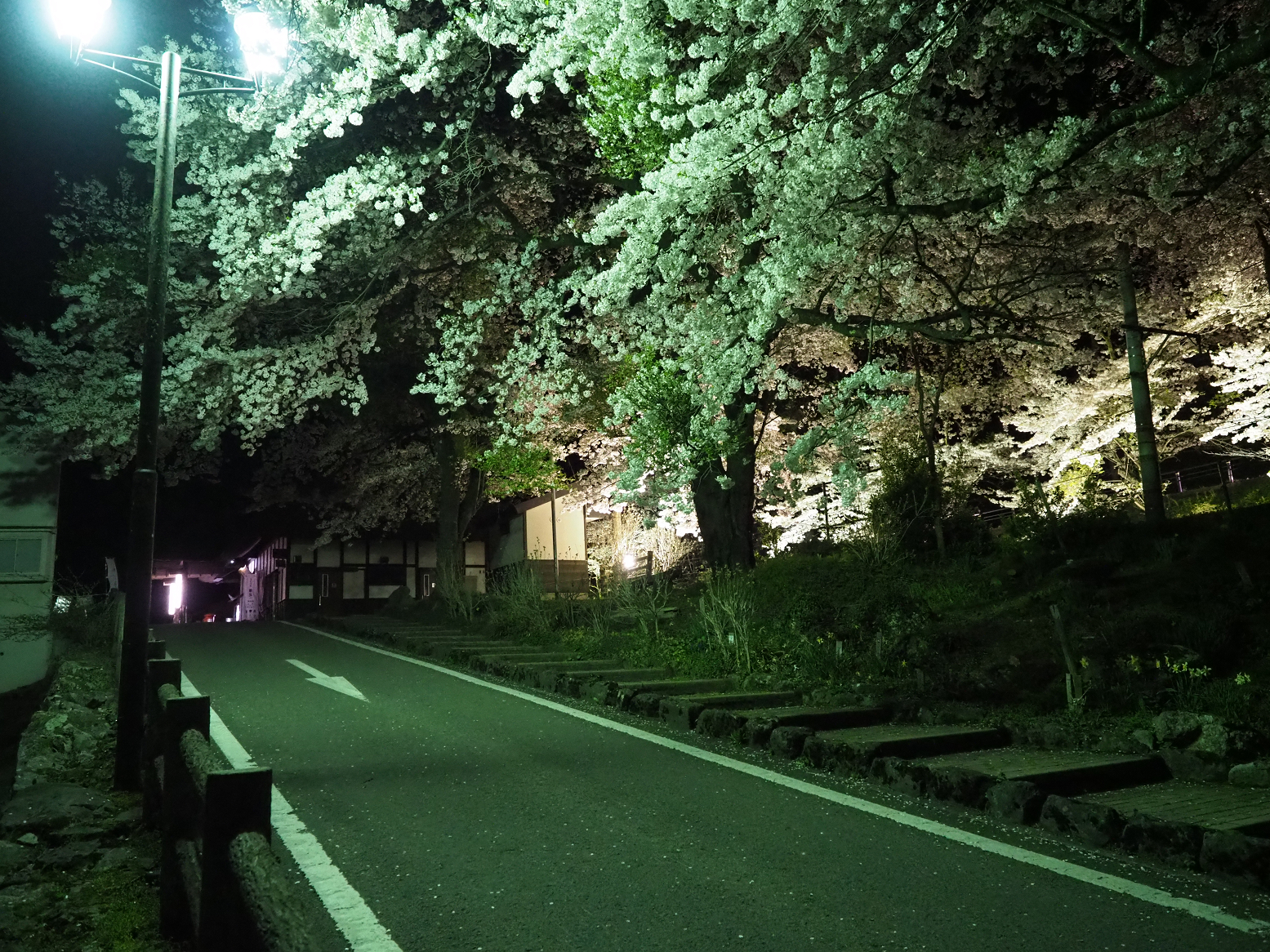 P4300167.jpg