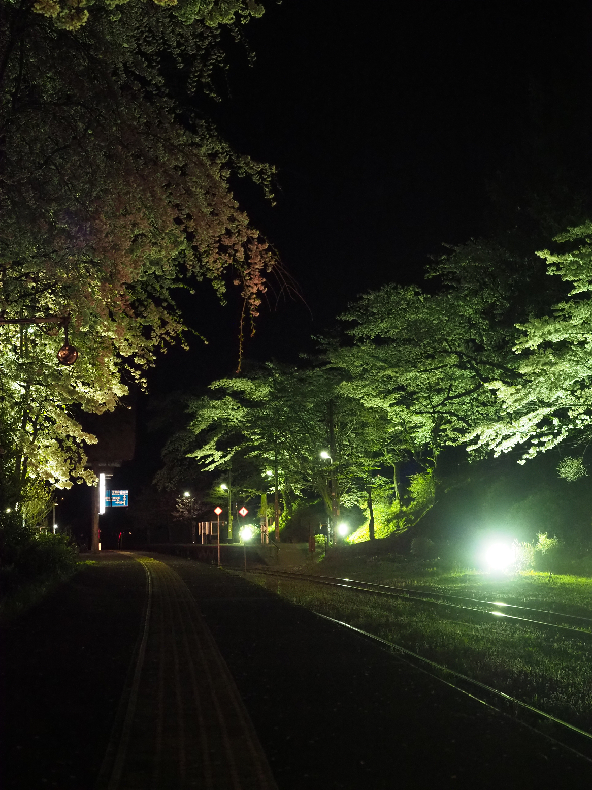 P4300180.jpg