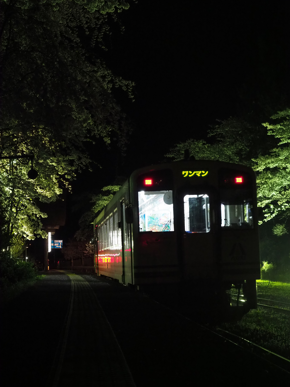 P4300188.jpg