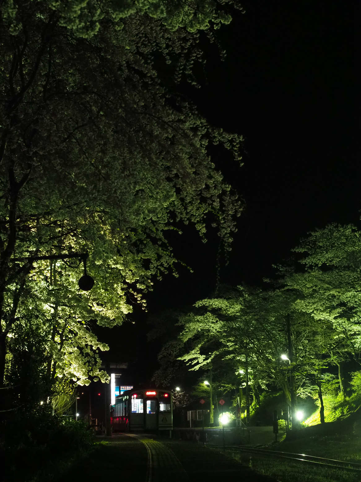 P4300204.jpg