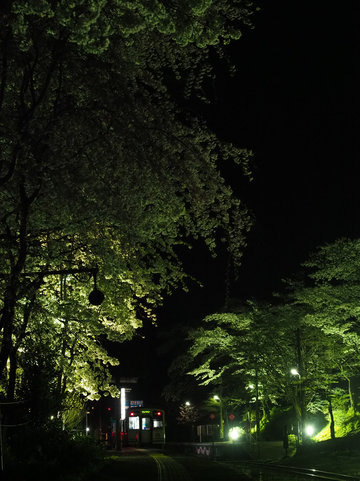 P4300205.jpg