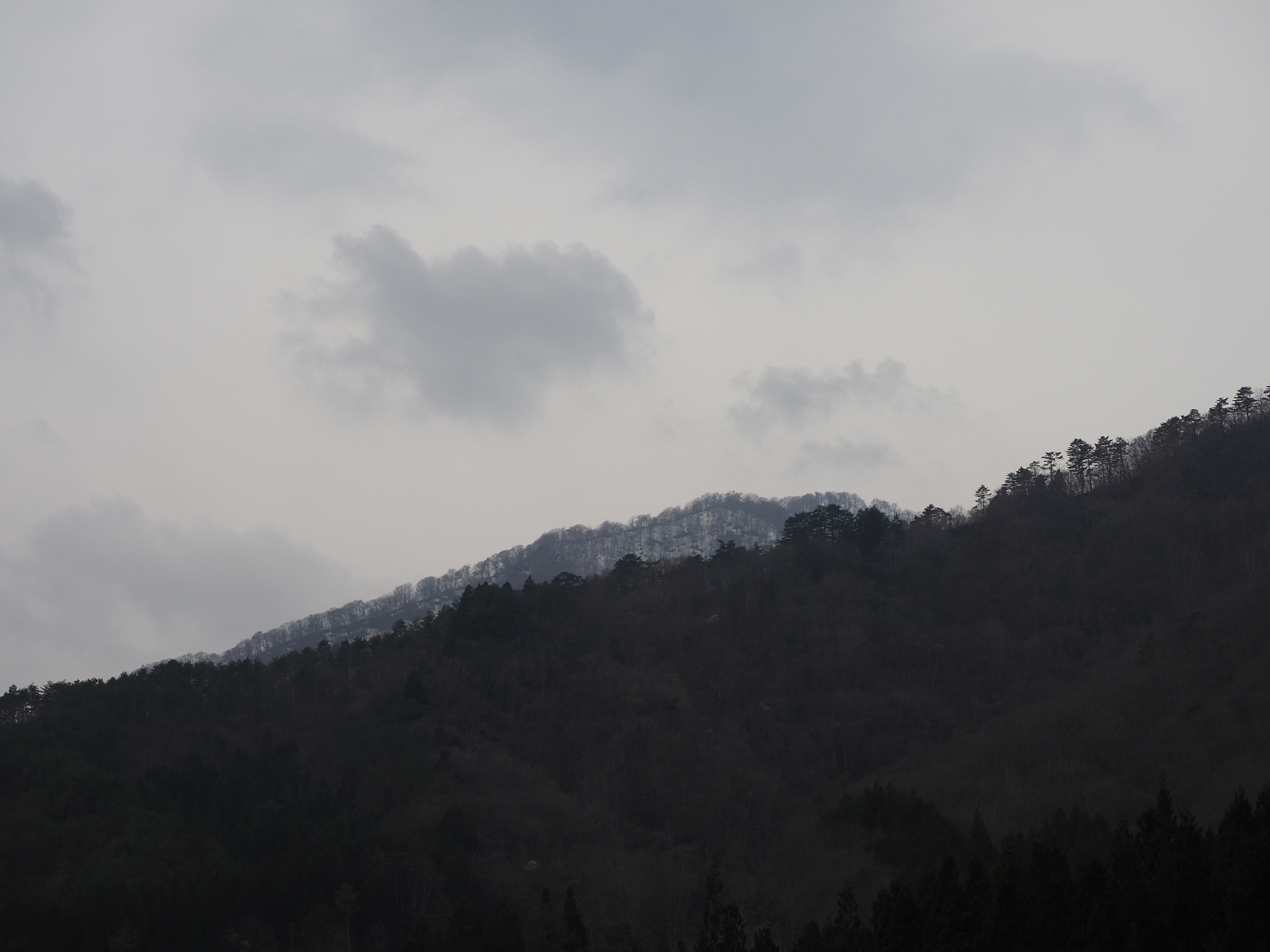 P5010241.jpg