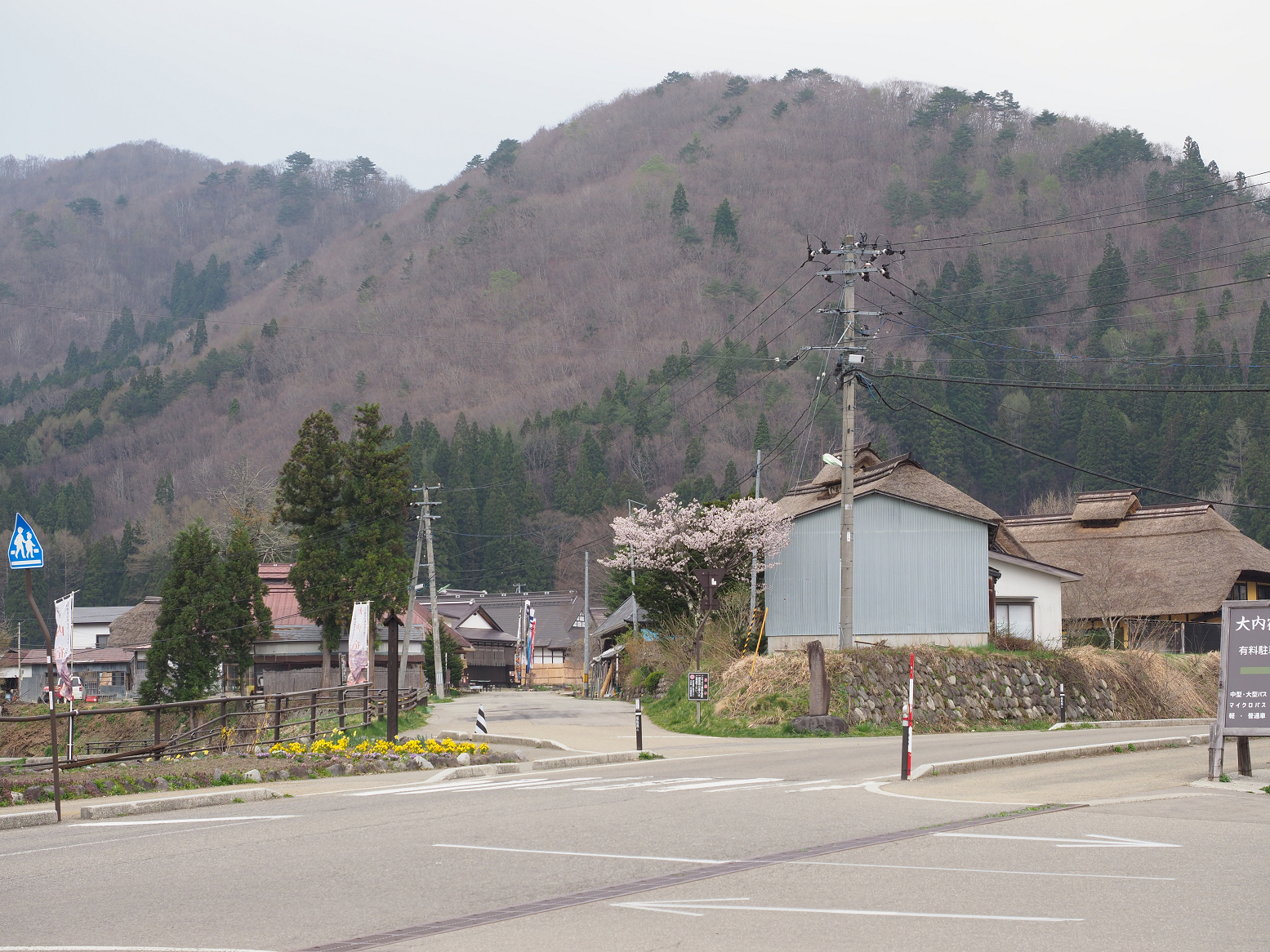 P5010242.jpg