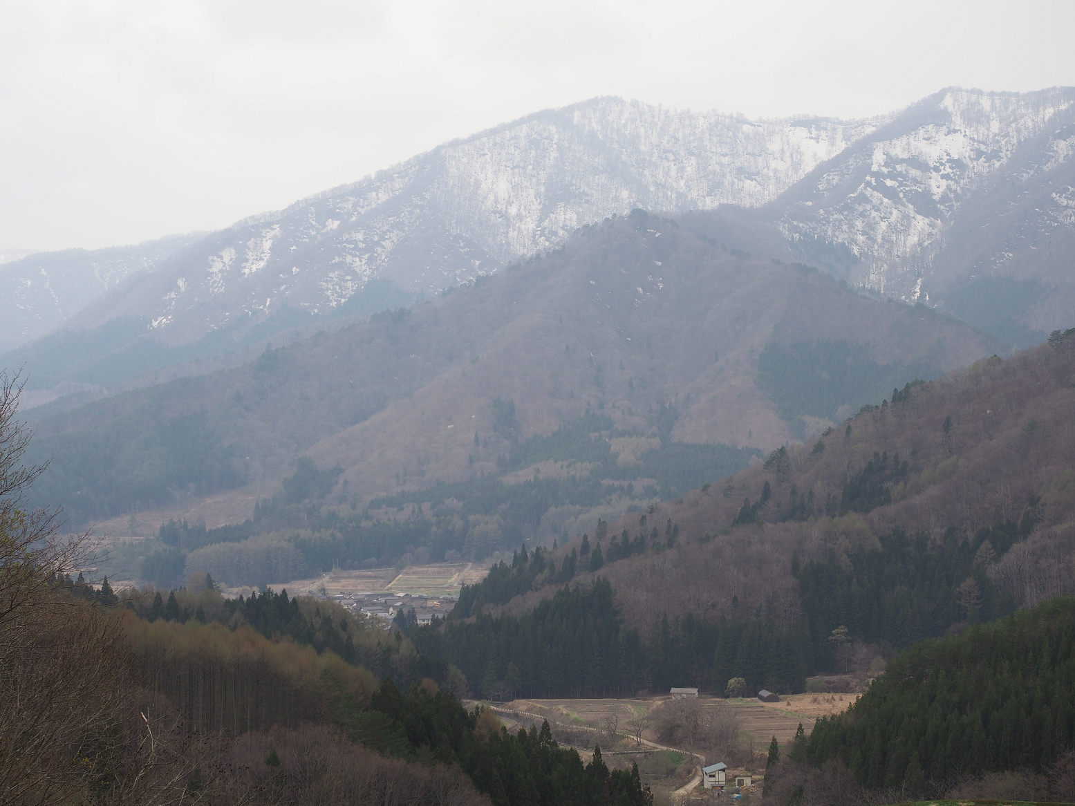 P5010250.jpg