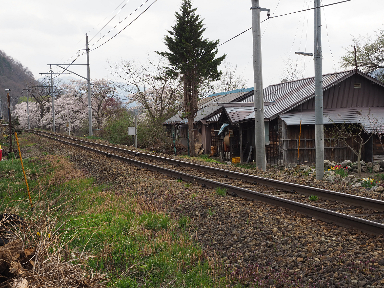 P5010301.jpg