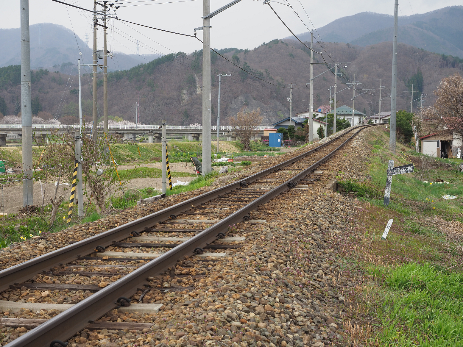 P5010305.jpg