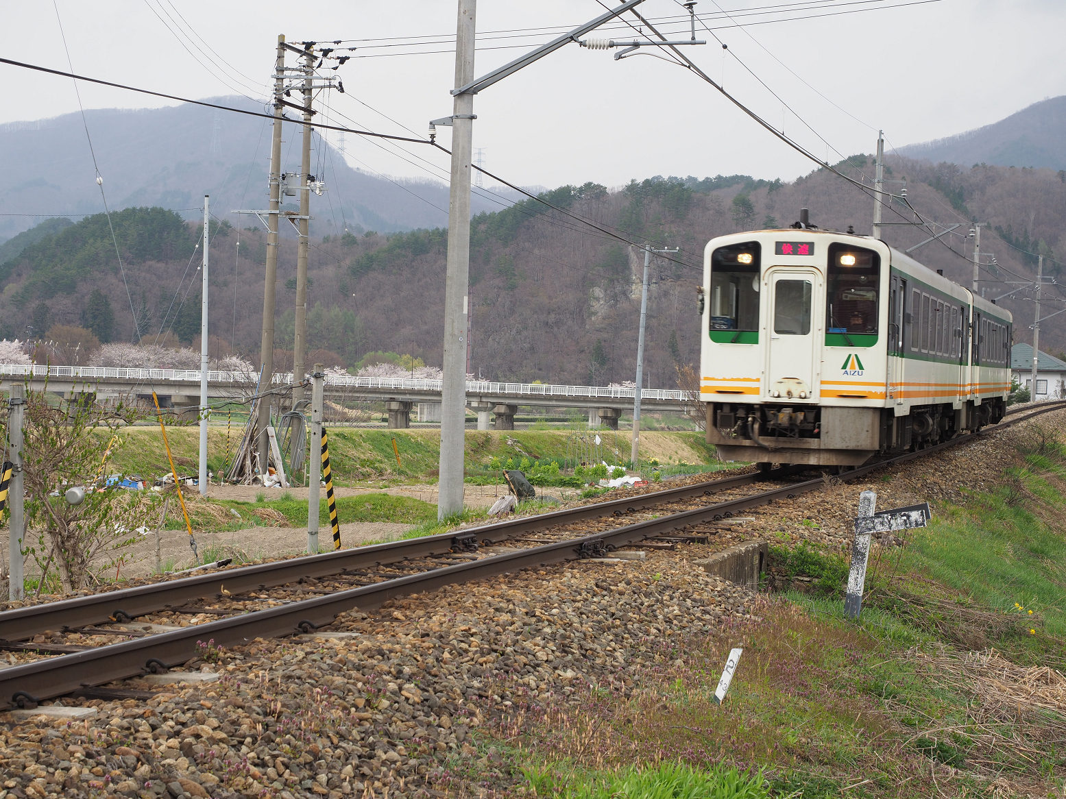 P5010309.jpg