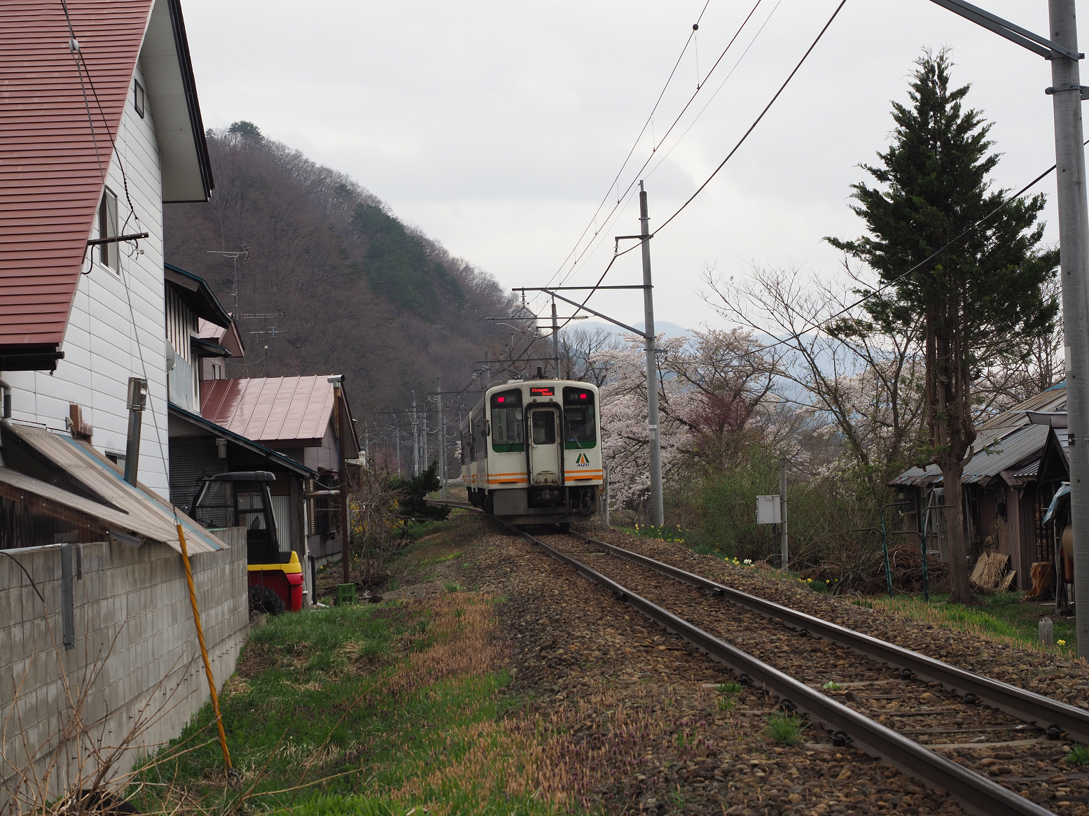 P5010320.jpg