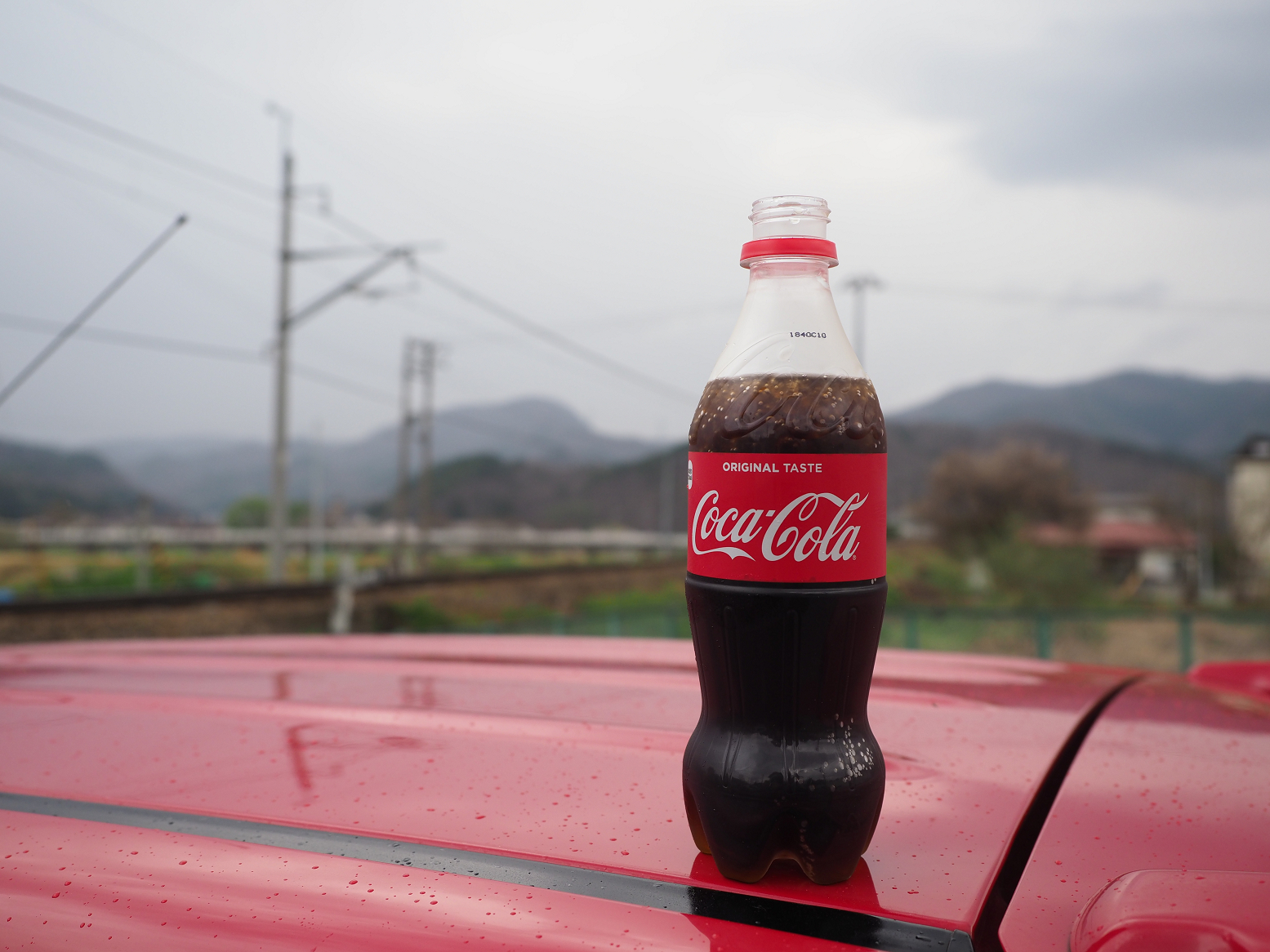 P5010328.jpg