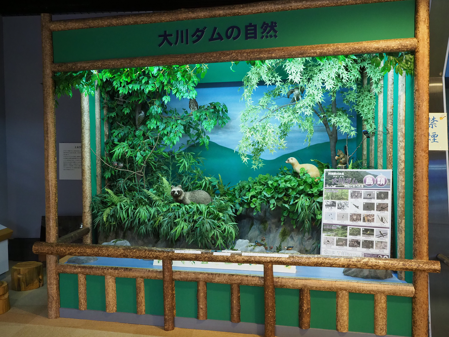 P5010353.jpg
