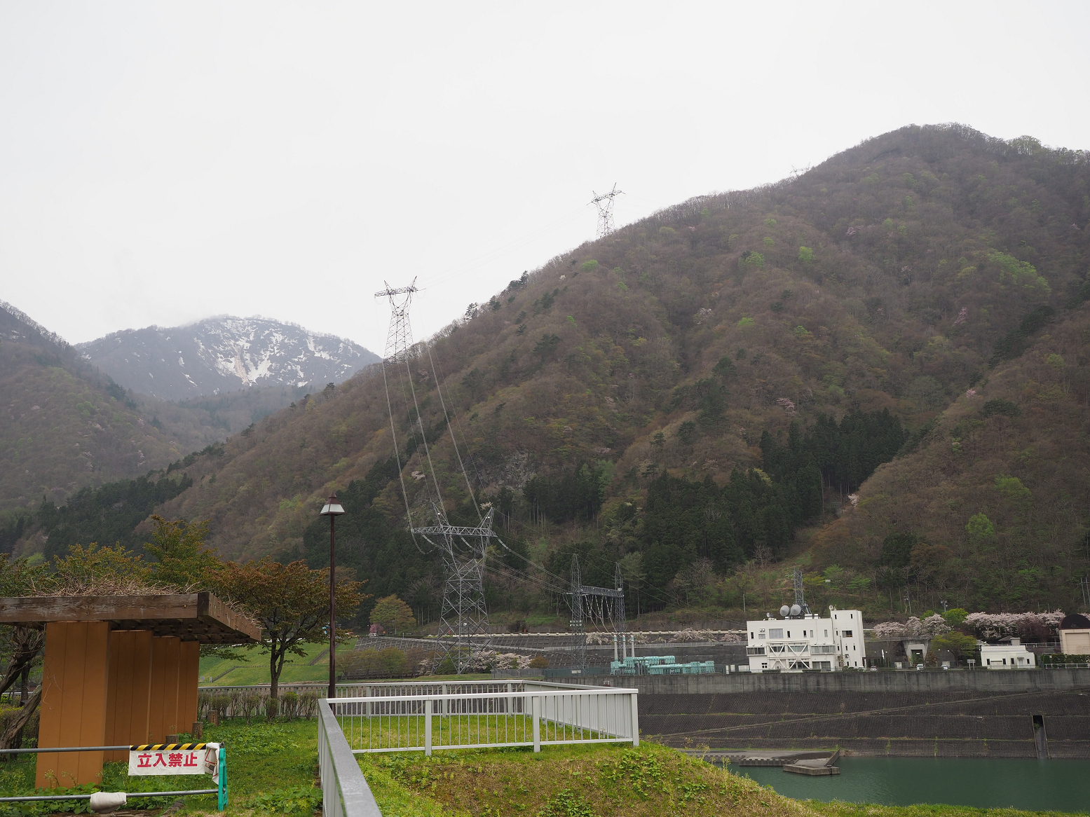 P5010369.jpg