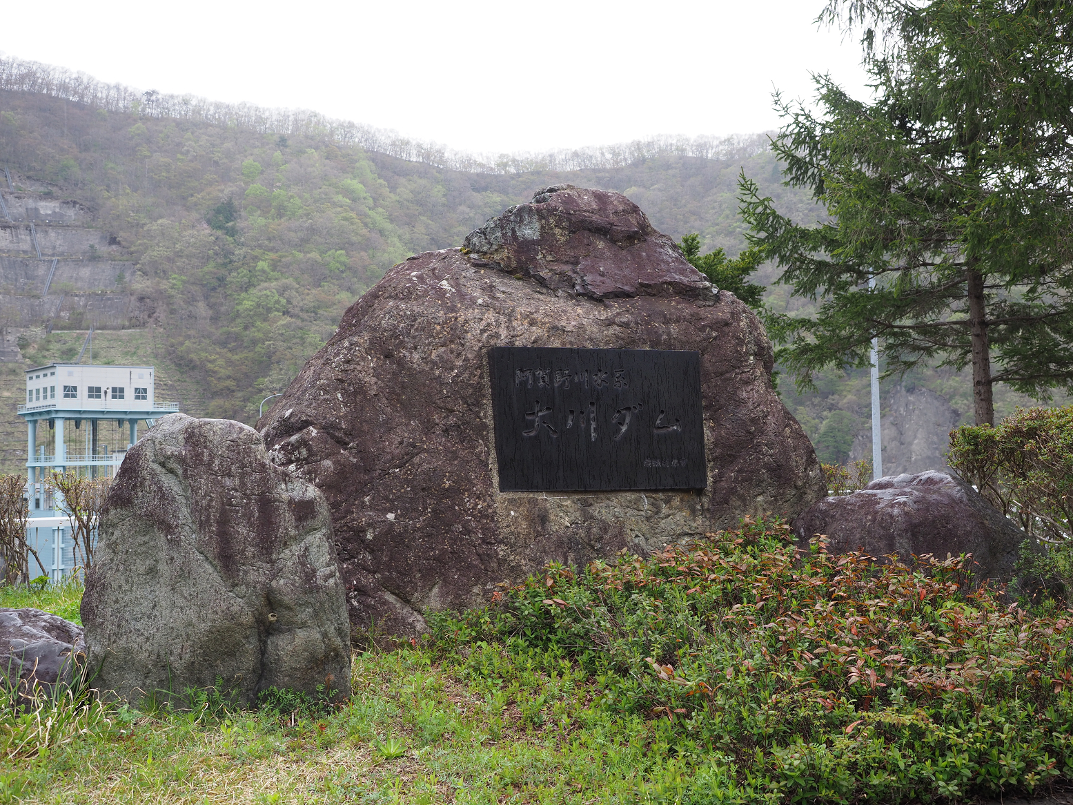 P5010371.jpg