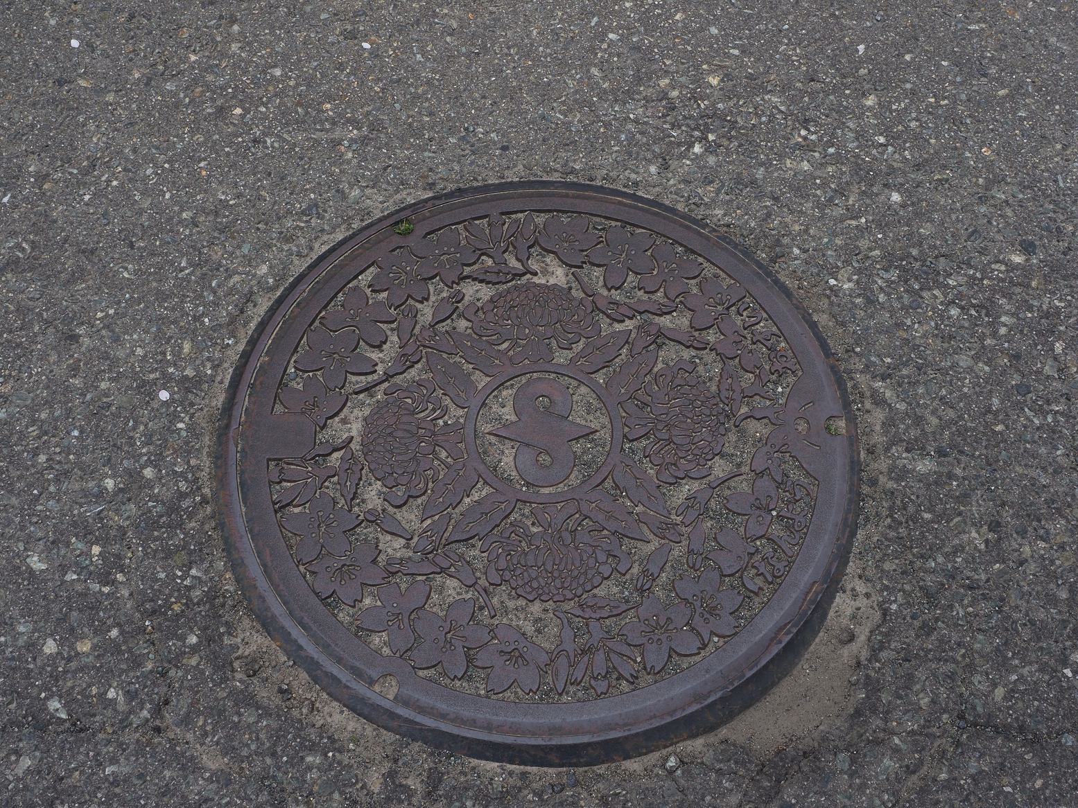 P5010411.jpg