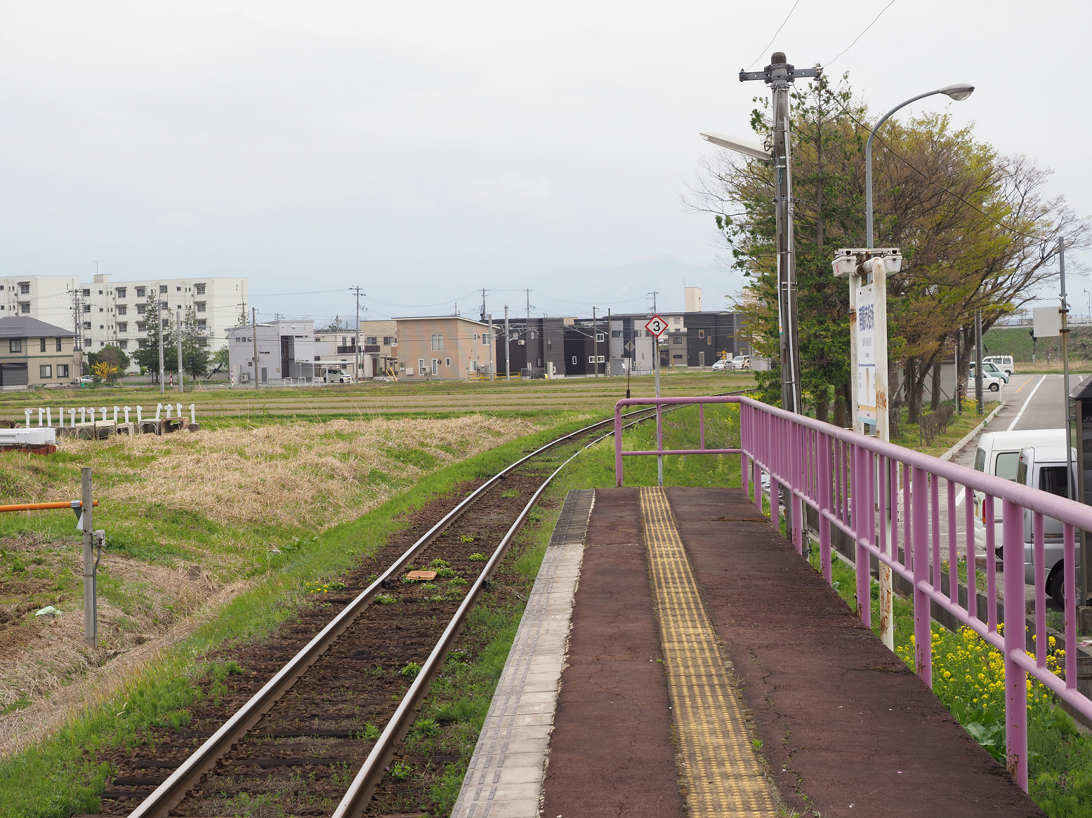 P5010413.jpg