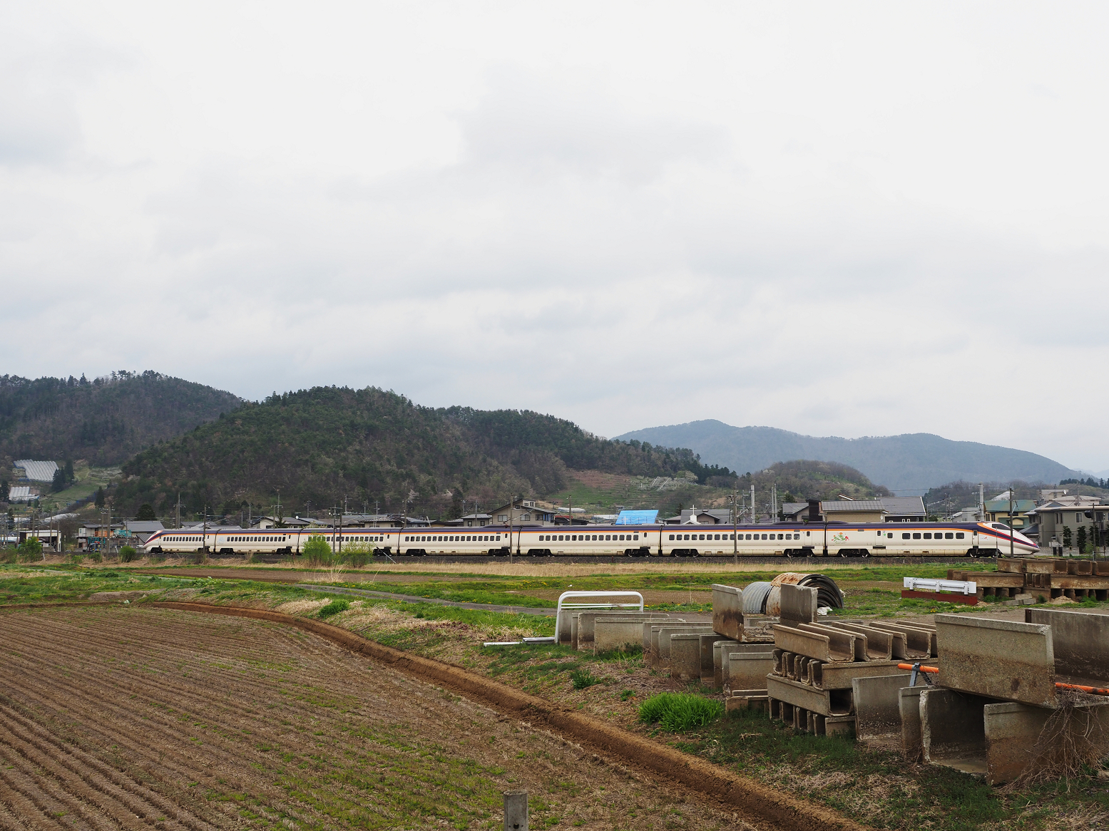P5010415.jpg