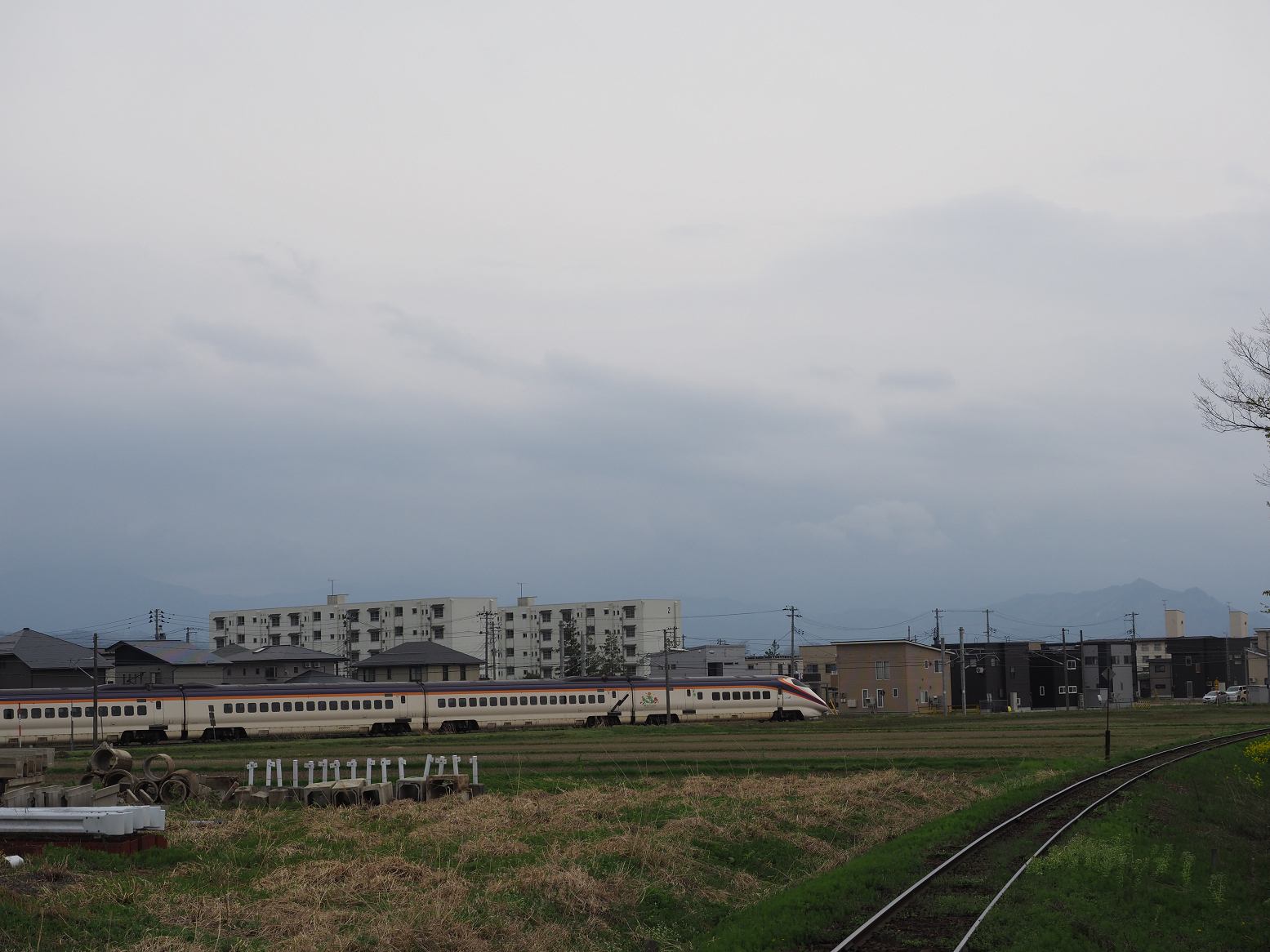 P5010416.jpg