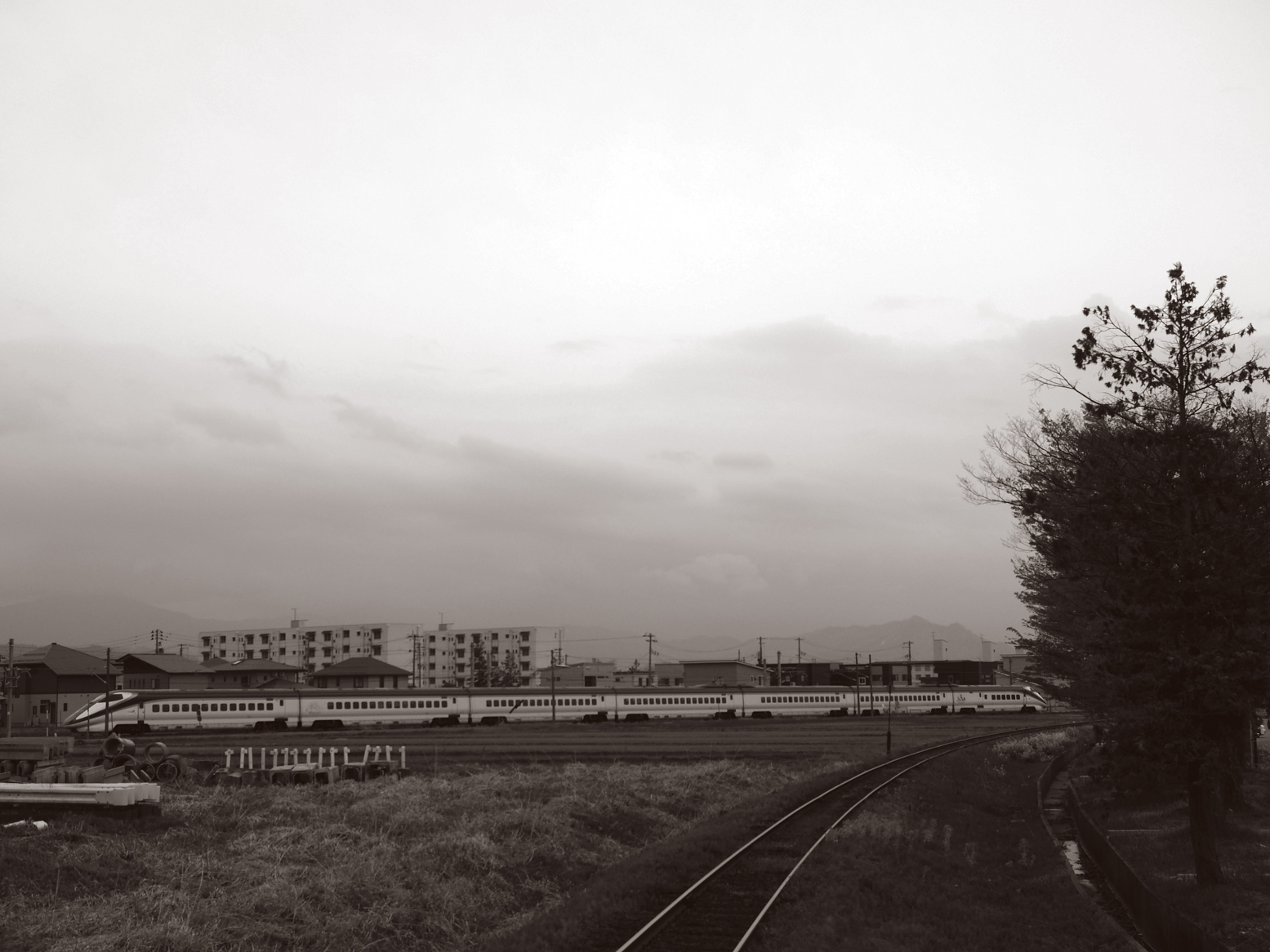 P5010417.jpg