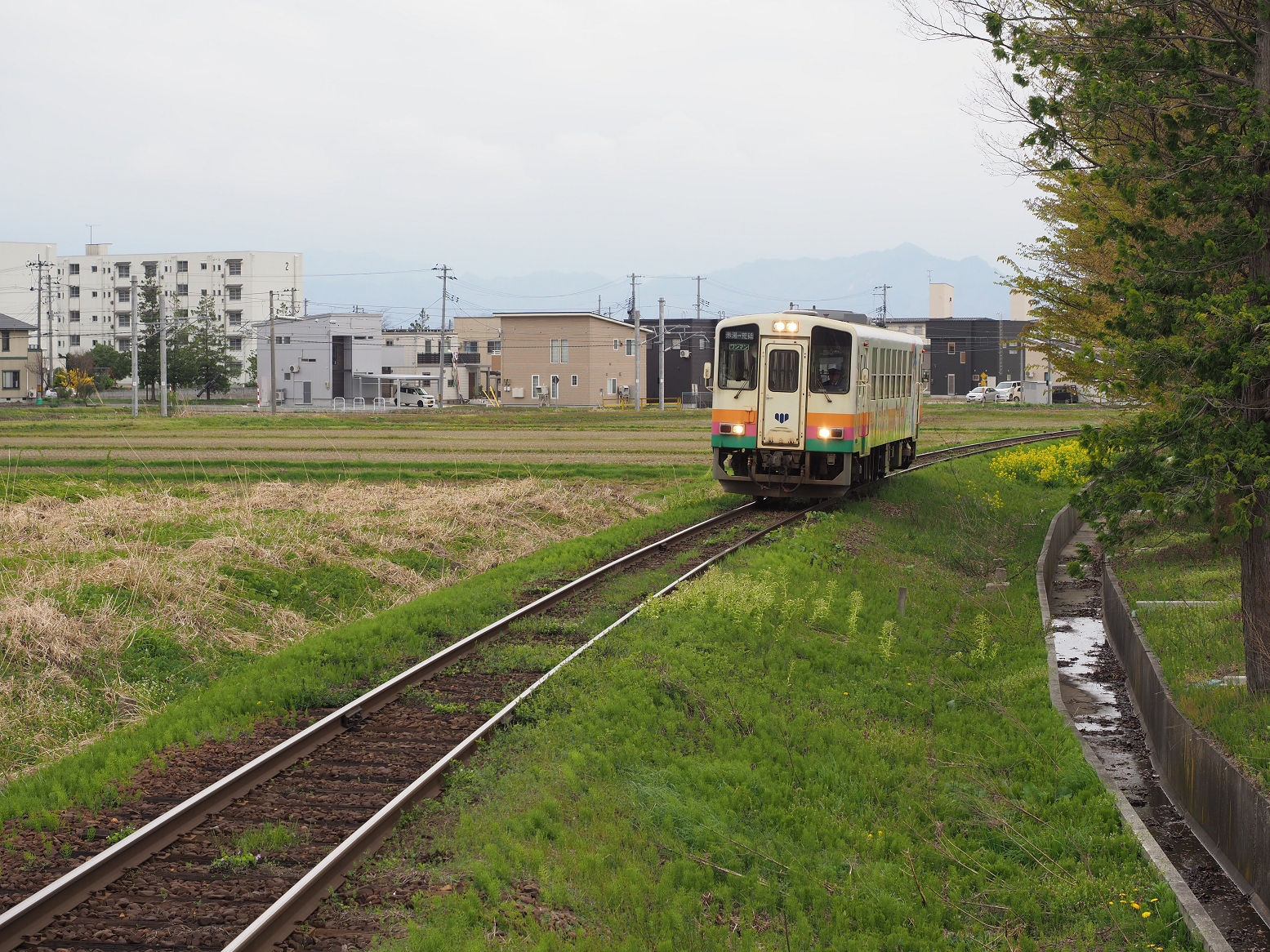 P5010424.jpg
